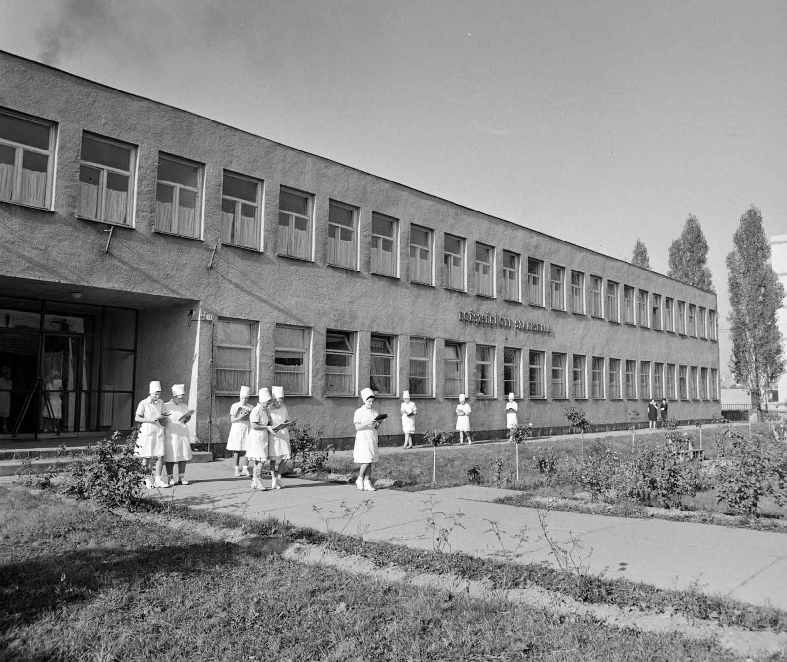 Hungary, Szombathely, Paragvári utca 77. (ekkor 13.), Egészségügyi Szakiskola (később Szombathelyi Művészeti Szakgimnázium)., 1965, Bojár Sándor, Fortepan #178354