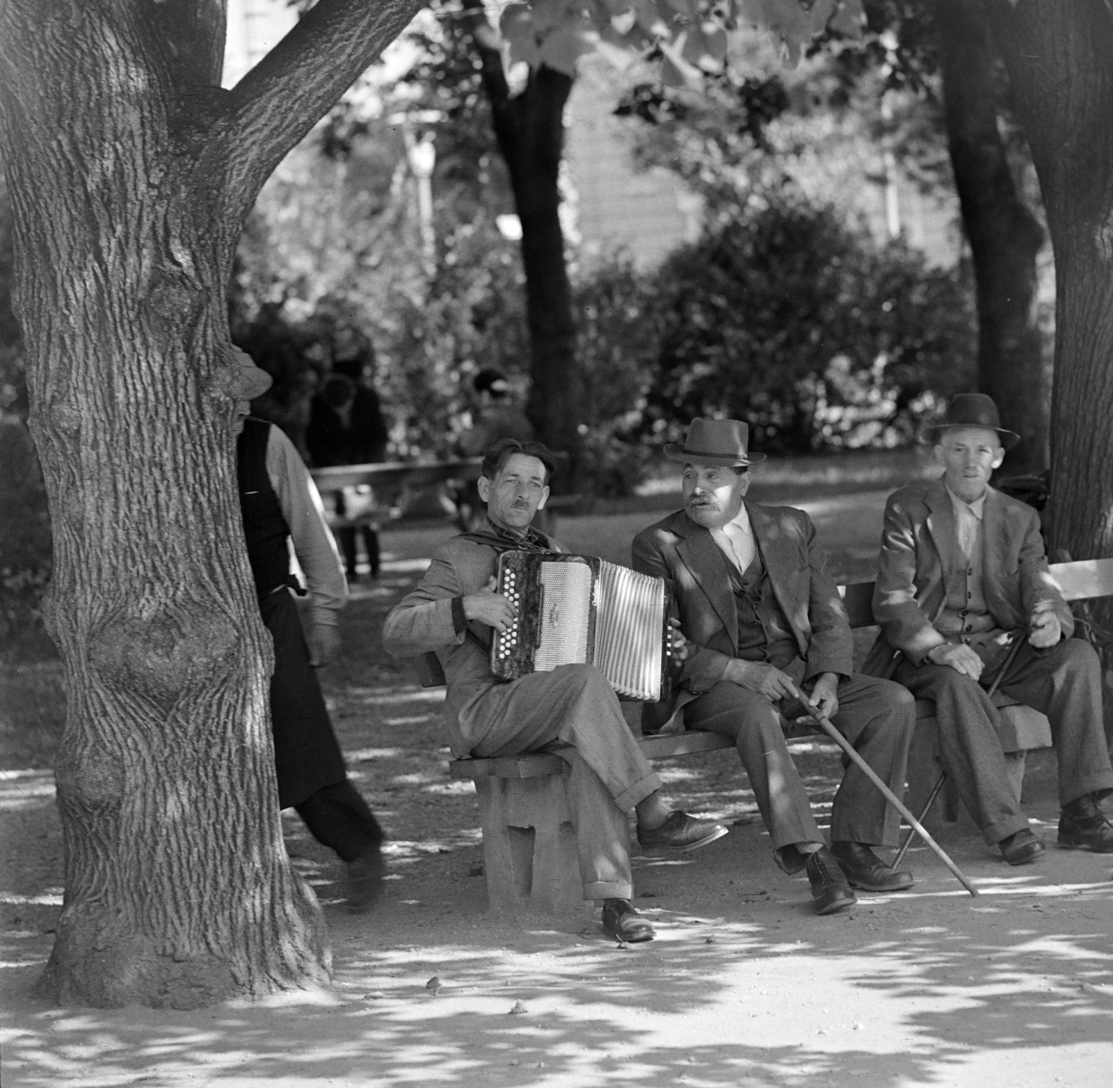 Hungary, Szombathely, 1965, Bojár Sándor, accordion, Fortepan #178385