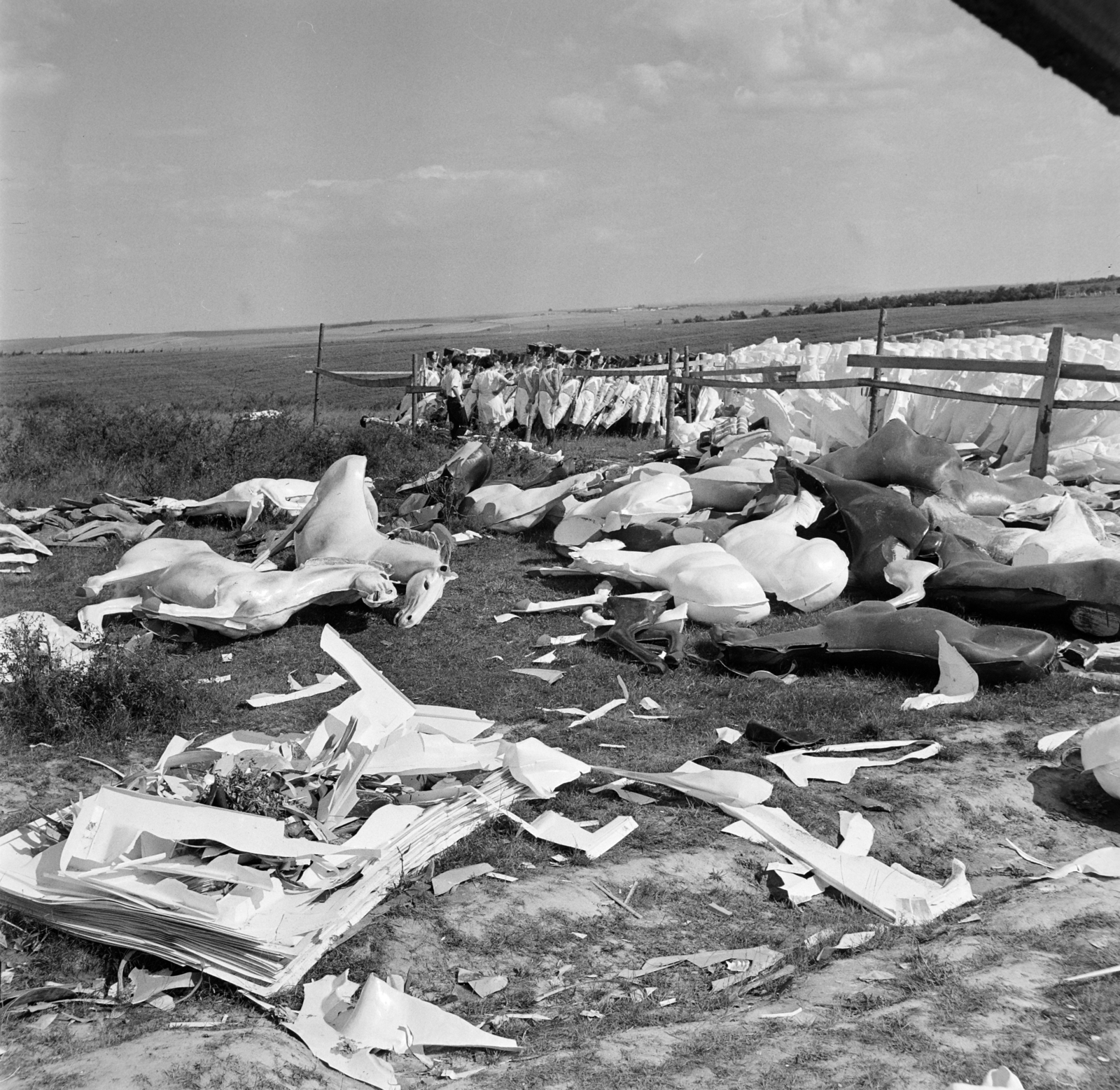 Ukrajna, Szerednye, Szergej Bondarcsuk szovjet filmrendező Waterloo című filmjének forgatási helyszíne., 1969, Bojár Sándor, filmforgatás, szemét, bábu, replika, Fortepan #178450