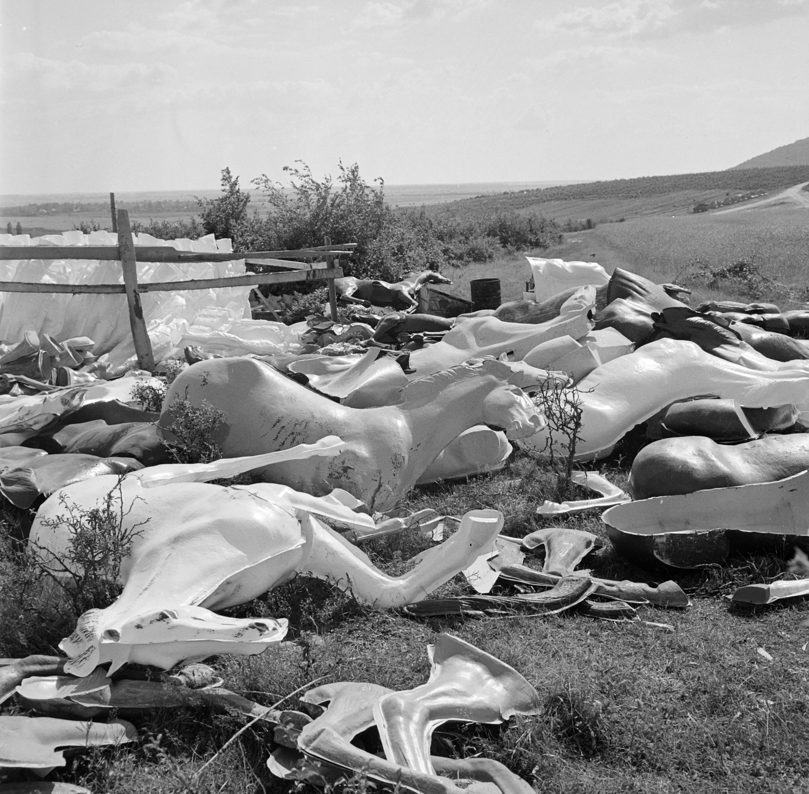 Ukrajna, Szerednye, Szergej Bondarcsuk szovjet filmrendező Waterloo című filmjének forgatási helyszíne., 1969, Bojár Sándor, filmforgatás, szemét, bábu, replika, Fortepan #178451