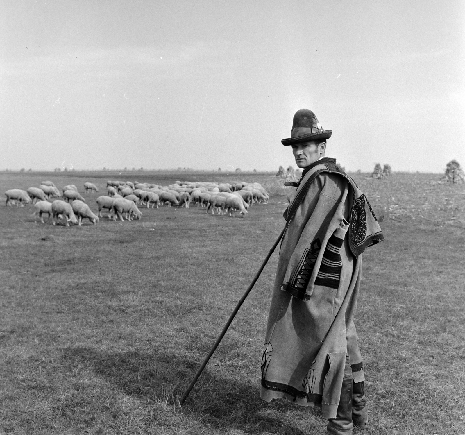 Hungary, Hortobágy, 1965, Bojár Sándor, Fortepan #178457