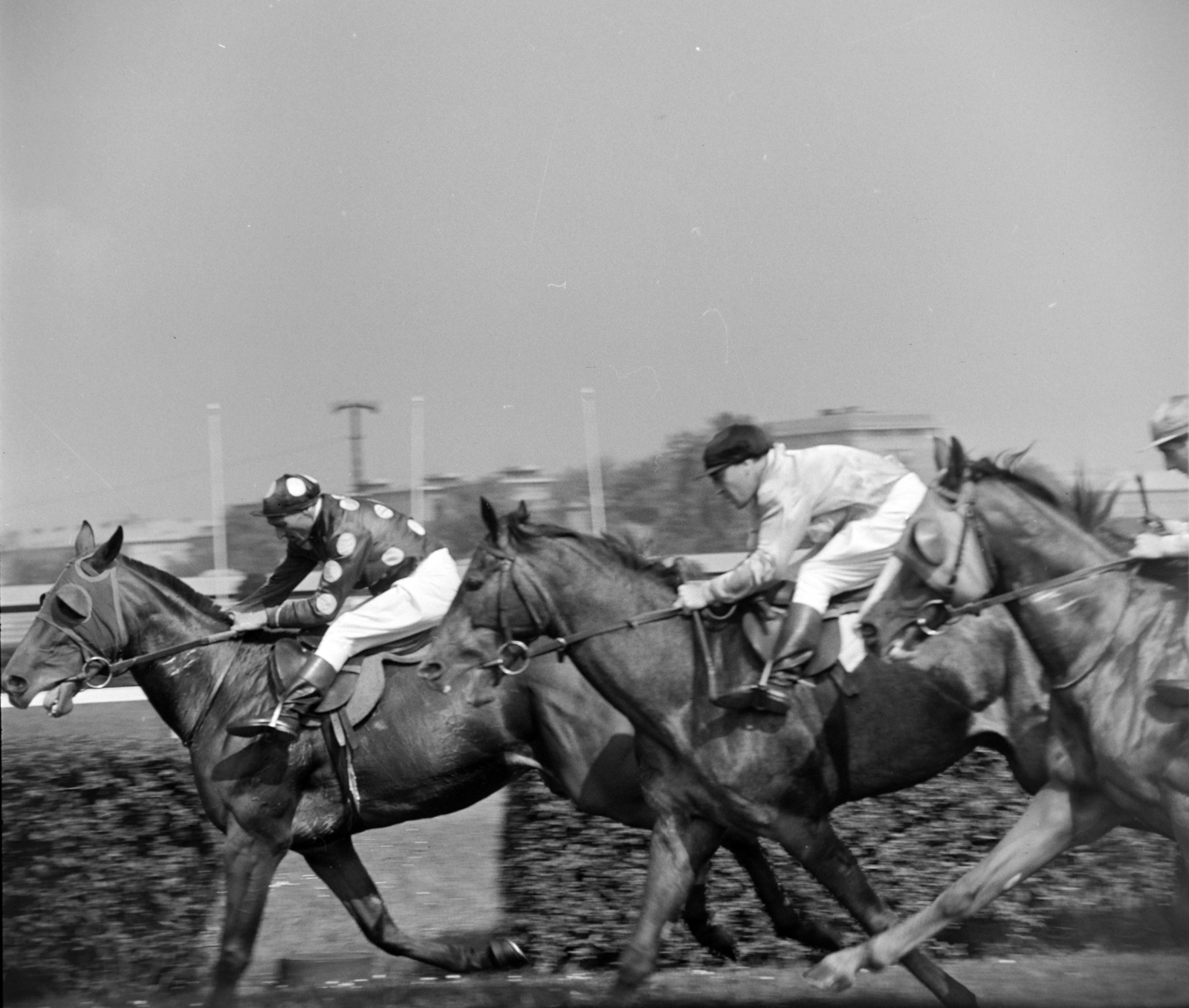 Hungary, Budapest X., Albertirsai út, Lóversenypálya (később Kincsem Park), háttérben a Kerepesi út., 1967, Bojár Sándor, Budapest, Fortepan #178470