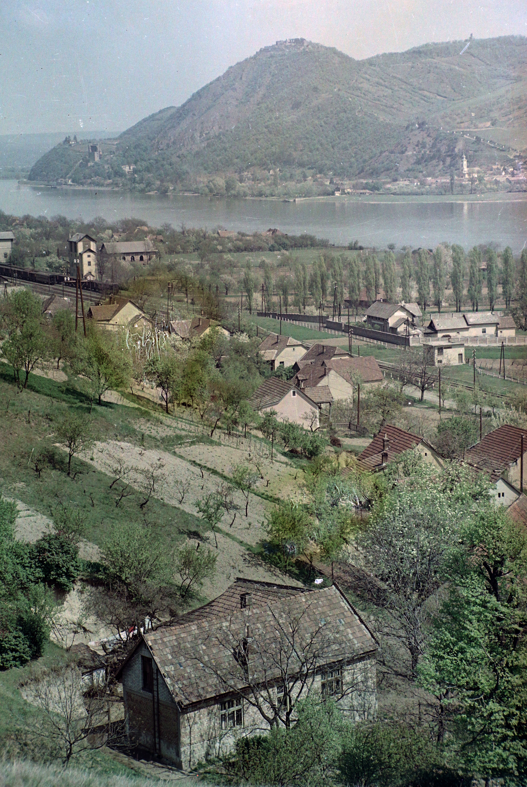 Hungary, Nagymaros, szemben Visegrád., 1953, Kotnyek Antal, railway, colorful, landscape, picture, Danube, Fortepan #17859