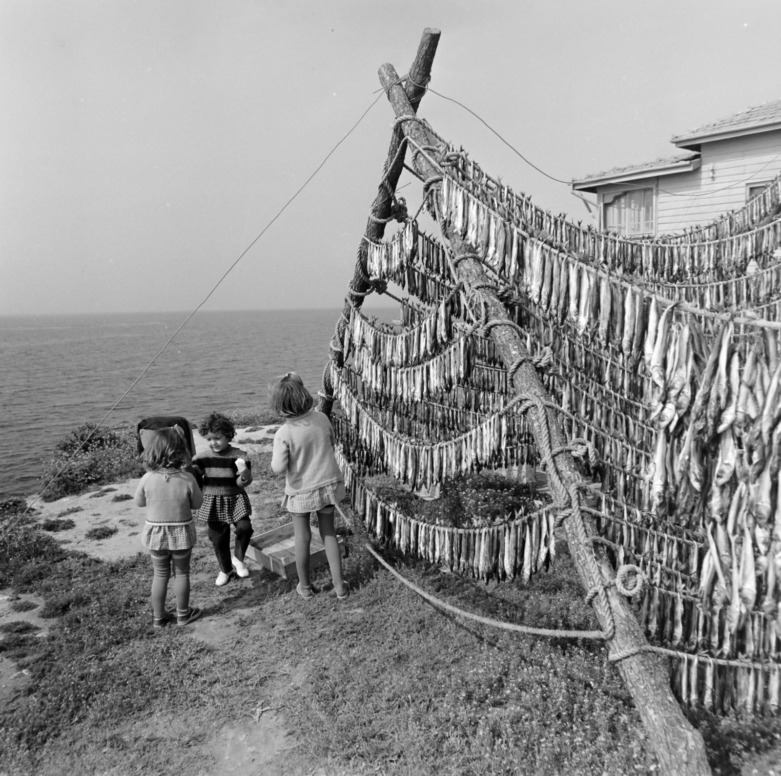 Bulgaria, Nesebar, 1965, Bojár Sándor, Fortepan #178609