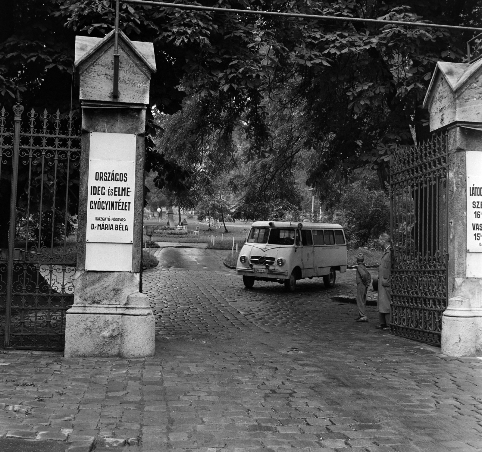 Hungary, Budapest II., Hűvösvölgyi út (Vörös Hadsereg útja) 116., Országos Ideg- és Elmegyógyintézet., 1966, Bojár Sándor, Budapest, Fortepan #178795