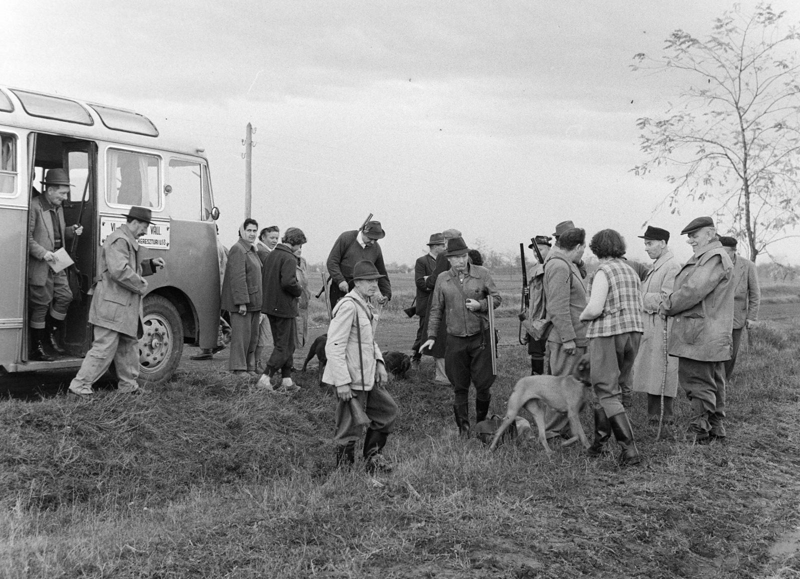 Hungary, Tápiószele, a felvétel a VI-os számú Autójavító Vállalat vadásztársaságának nyúlvadászatán készült., 1960, Bojár Sándor, dog, hunting, hunting dog, hunting rifle, Fortepan #179049