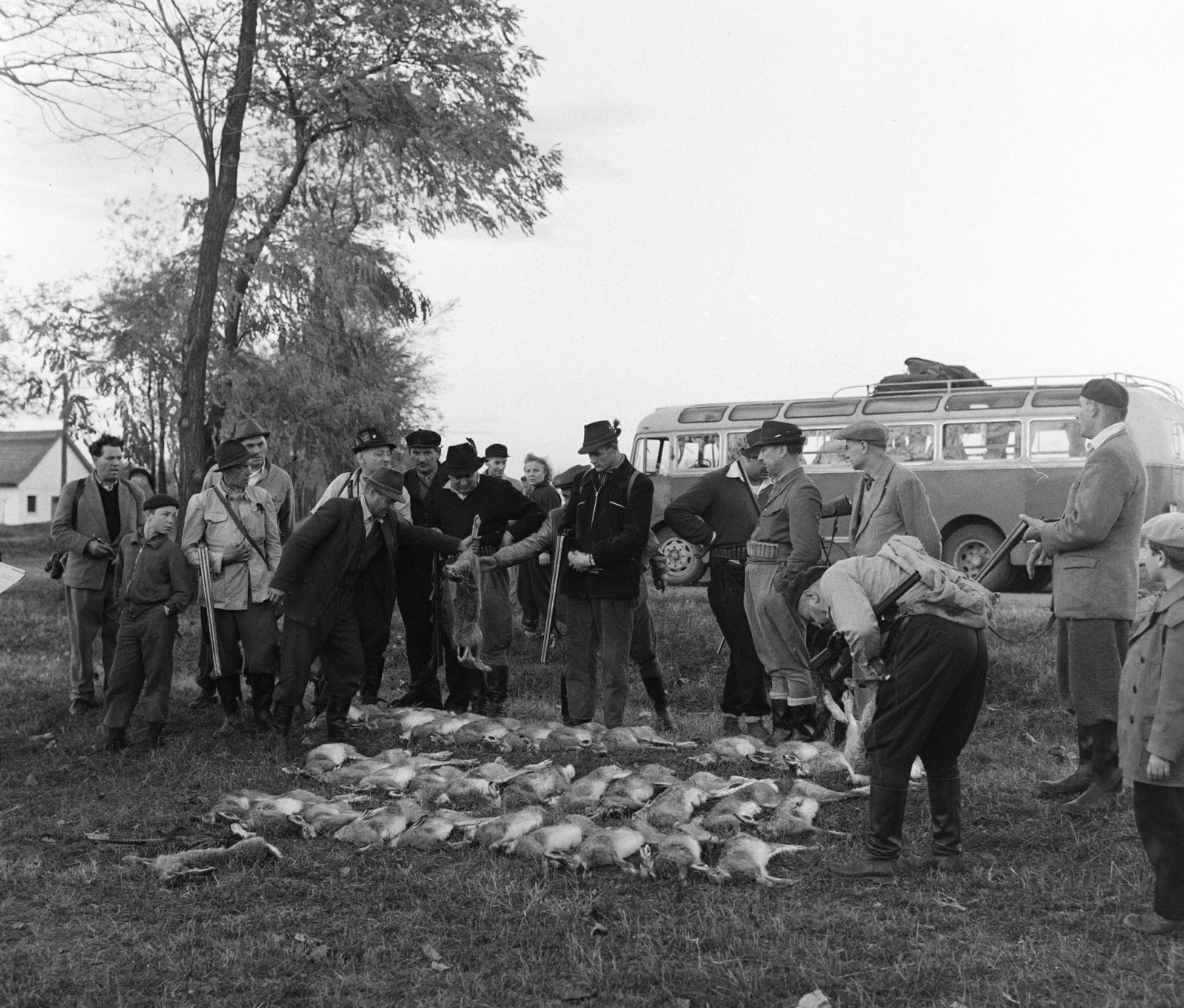 Magyarország, Tápiószele, a felvétel a VI-os számú Autójavító Vállalat vadásztársaságának nyúlvadászatán készült., 1960, Bojár Sándor, teríték, vadászat, nyúl, vadászfegyver, Fortepan #179056