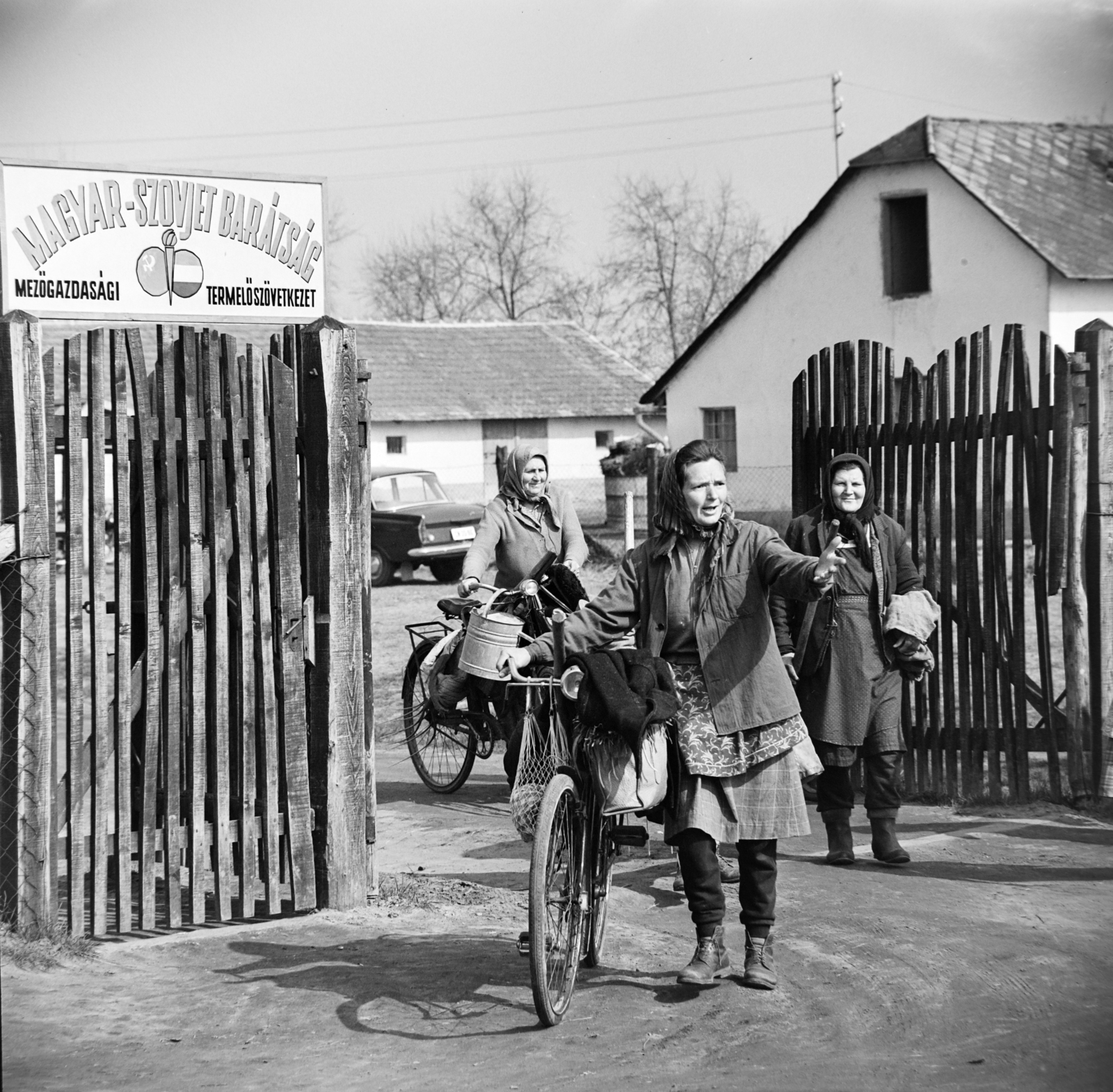 Hungary, Kistelek, Magyar-Szovjet Barátság TSz., 1966, Bojár Sándor, bicycle, Fortepan #179083