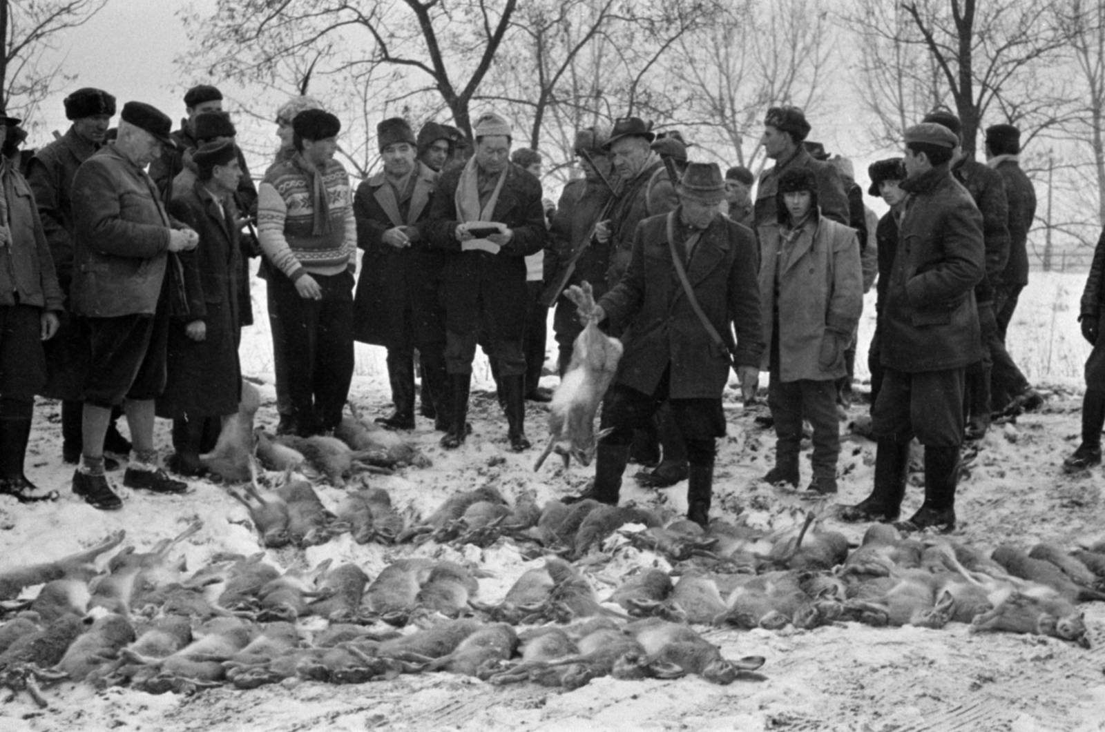 Hungary, a Partizánszövetség tagjai nyúlvadászaton, a teríték., 1966, Bojár Sándor, Fortepan #179232