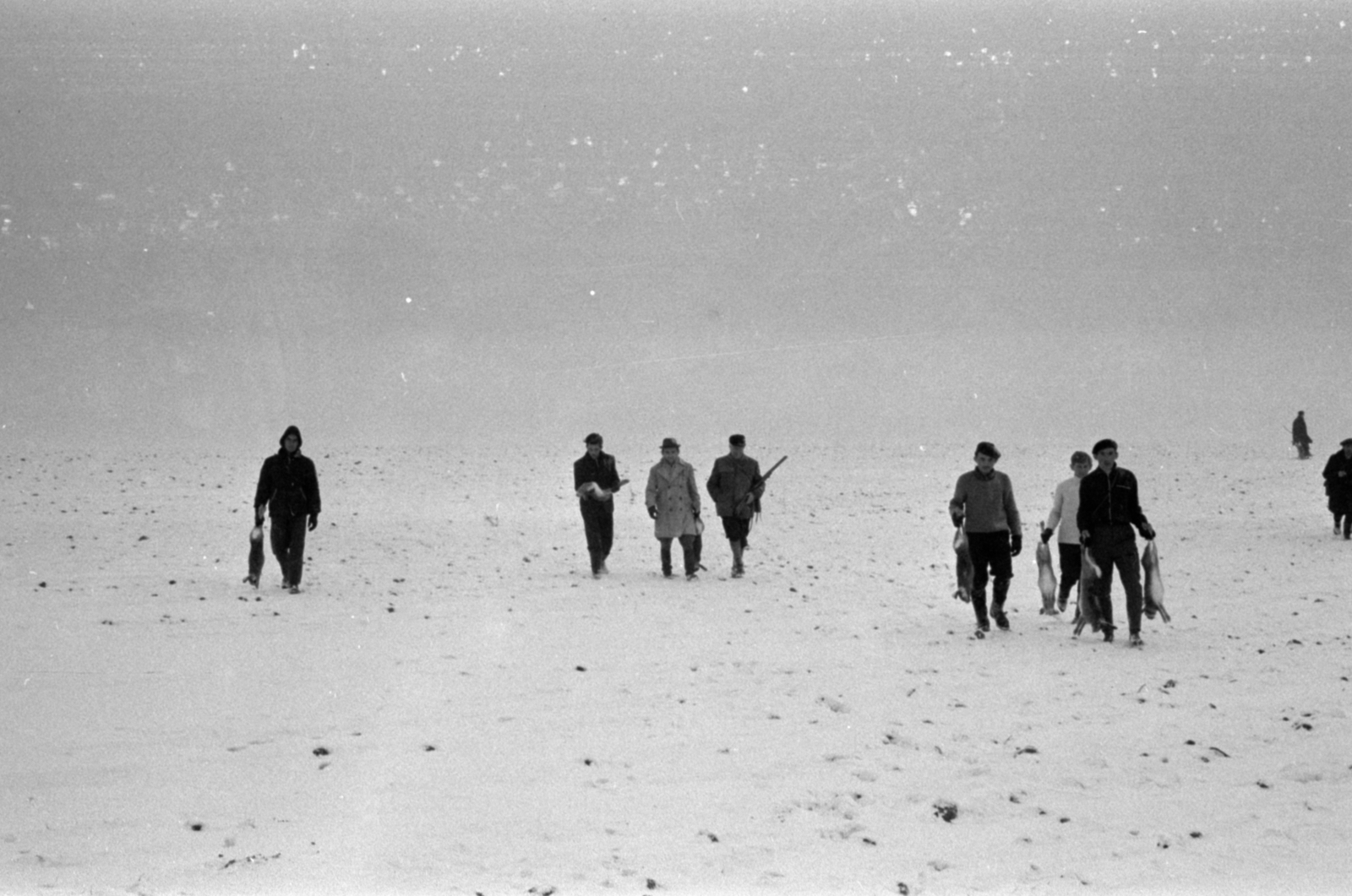 Hungary, a Partizánszövetség tagjai nyúlvadászaton., 1966, Bojár Sándor, Fortepan #179234