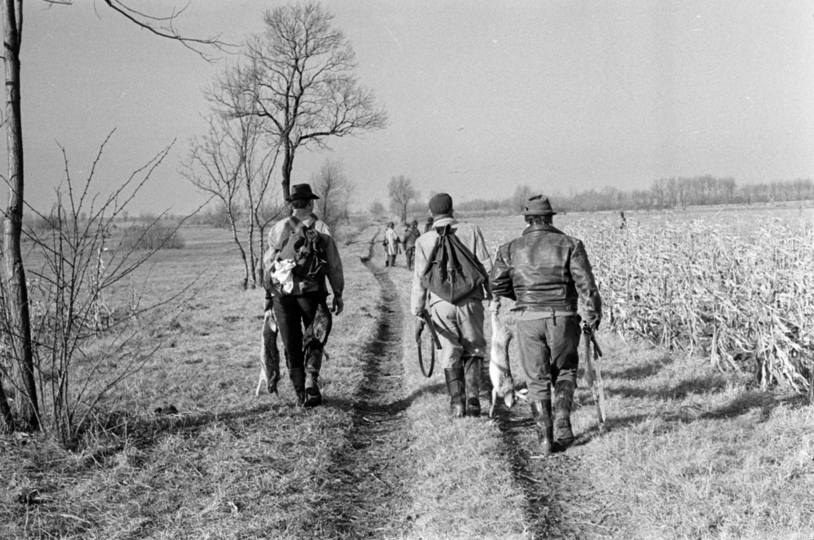 Hungary, Dabas, 1967, Bojár Sándor, Fortepan #179238