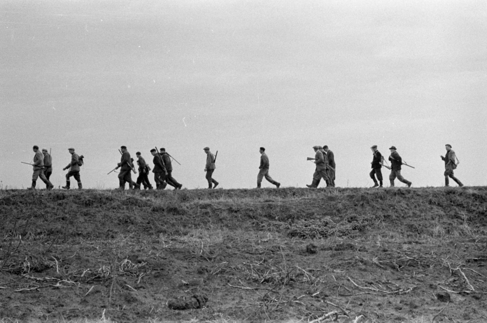 Magyarország, Pozsonyboldogfa, a felvétel a helyi vadásztársaság fácán- és nyúlvadászatán készült., 1964, Bojár Sándor, vadászat, puska, Fortepan #179245