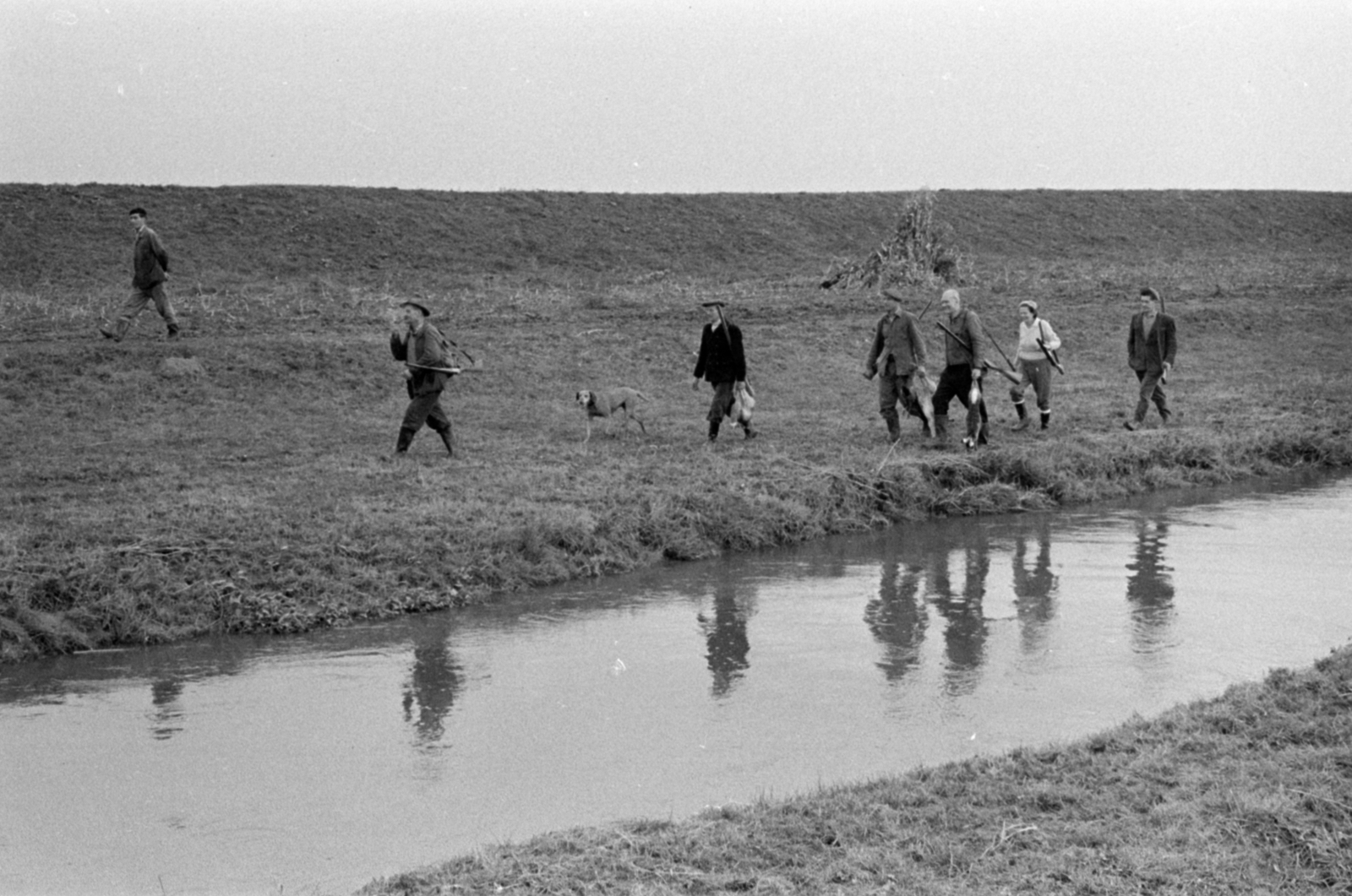 Magyarország, Pozsonyboldogfa, a felvétel a helyi vadásztársaság fácán- és nyúlvadászatán készült., 1964, Bojár Sándor, vadász, vadászat, nyúl, patak, puska, Fortepan #179248