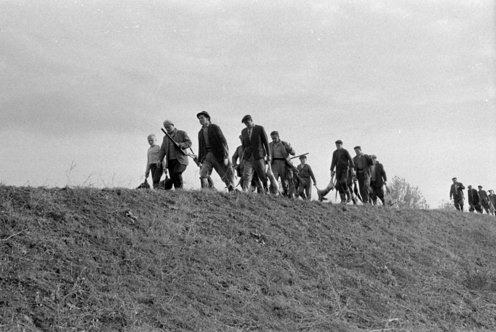 Magyarország, Pozsonyboldogfa, a felvétel a helyi vadásztársaság fácán- és nyúlvadászatán készült., 1964, Bojár Sándor, vadász, vadászat, nyúl, puska, Fortepan #179250