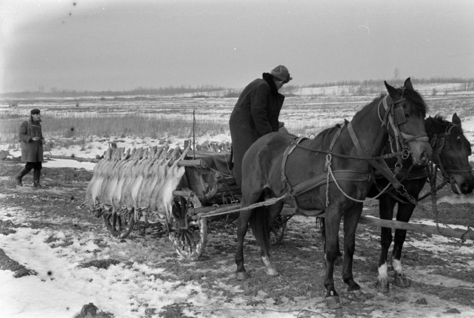 Hungary, Alsónémedi, a felvétel a Külkereskedelmi Minisztérium vadásztársaságának körvadászatán készült., 1967, Bojár Sándor, Fortepan #179253