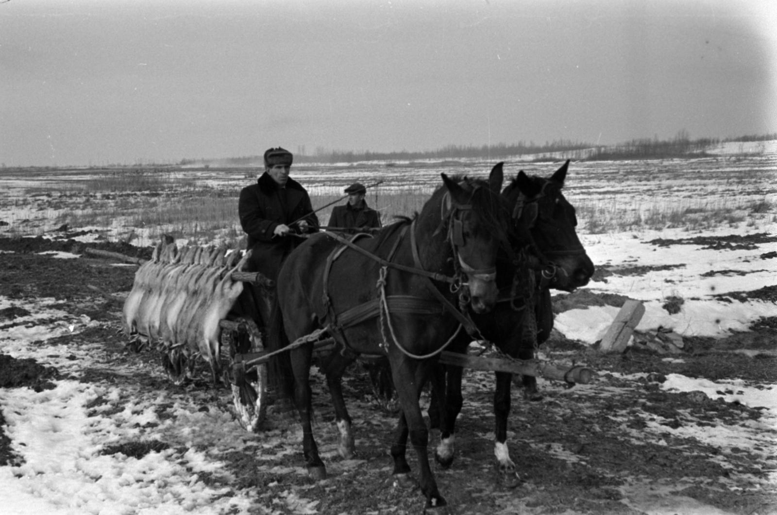 Hungary, Alsónémedi, a felvétel a Külkereskedelmi Minisztérium vadásztársaságának körvadászatán készült., 1967, Bojár Sándor, Fortepan #179254