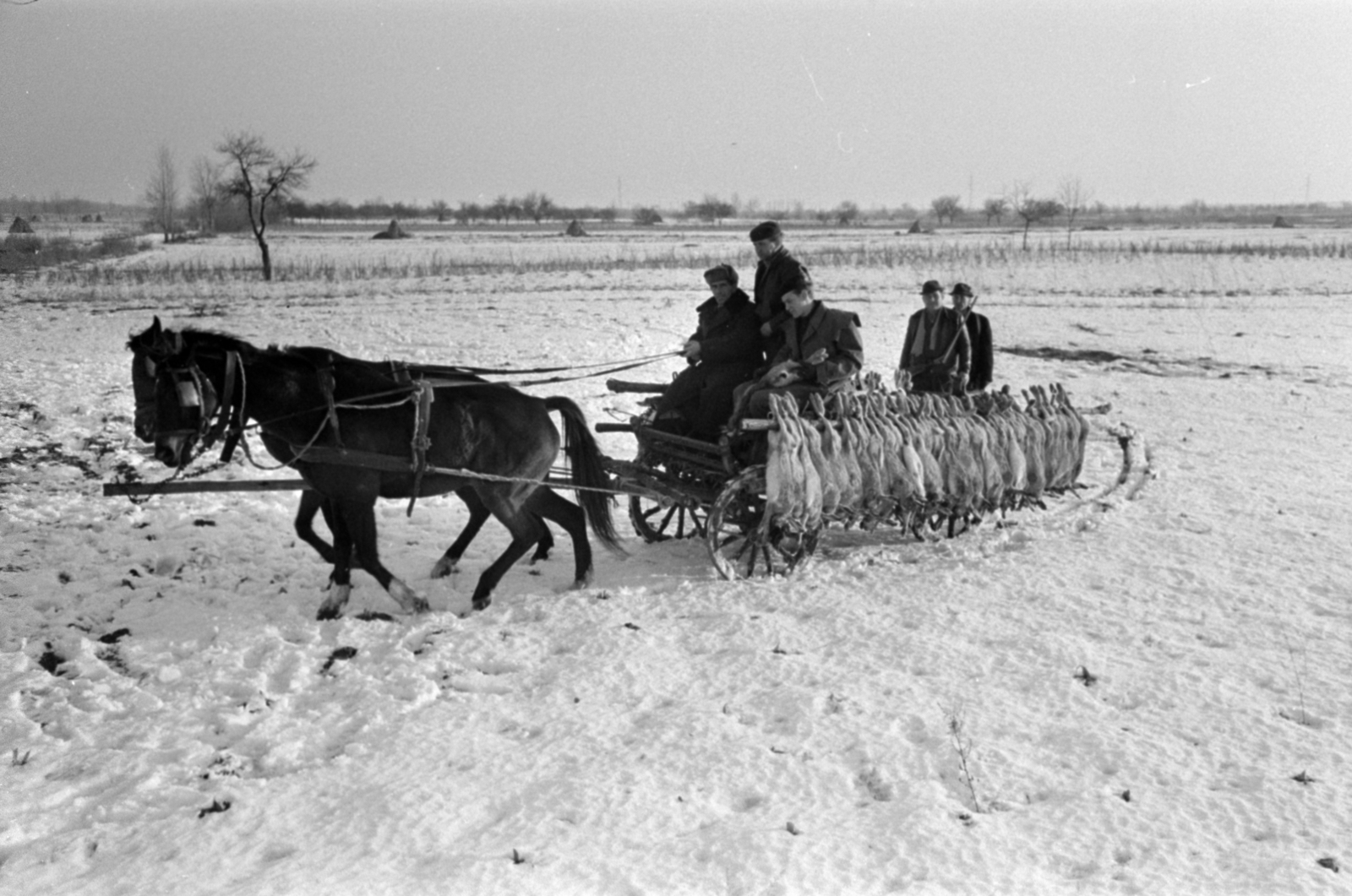 Hungary, Alsónémedi, a felvétel a Külkereskedelmi Minisztérium vadásztársaságának körvadászatán készült., 1967, Bojár Sándor, hat, winter, snow, chariot, hunter, hunting, beret, gun, Fortepan #179262