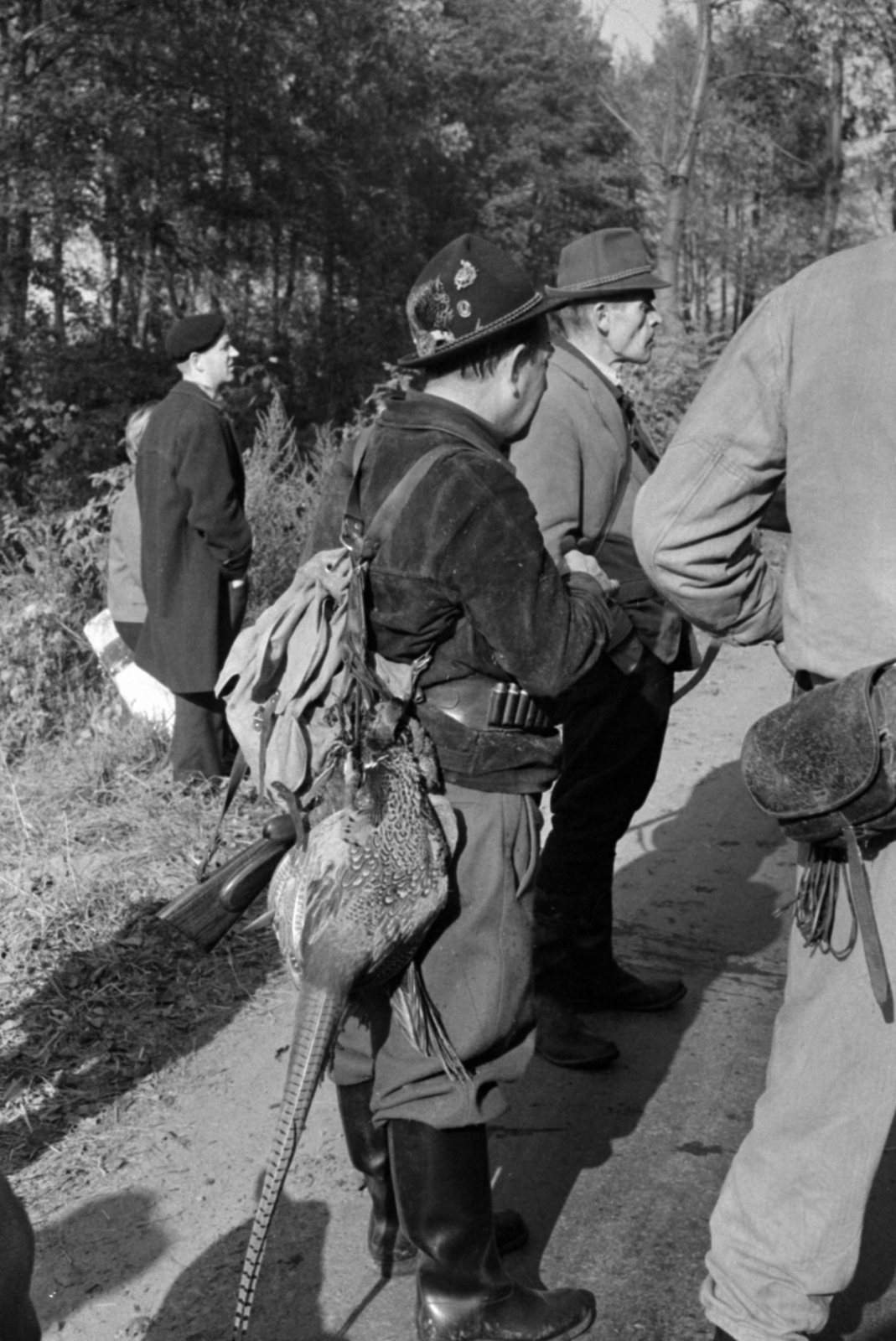 Hungary, Ócsa, a felvétel a Kohó- és Gépipari Minisztérium Szabadság Vadásztársaságának fácán- és nyúlvadászatán készült., 1965, Bojár Sándor, Fortepan #179269