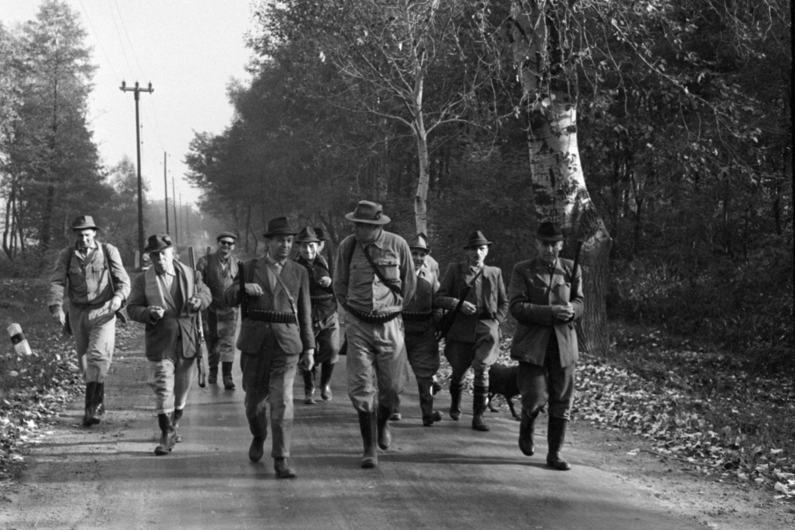 Hungary, Ócsa, a felvétel a Kohó- és Gépipari Minisztérium Szabadság Vadásztársaságának fácán- és nyúlvadászatán készült., 1965, Bojár Sándor, Fortepan #179273