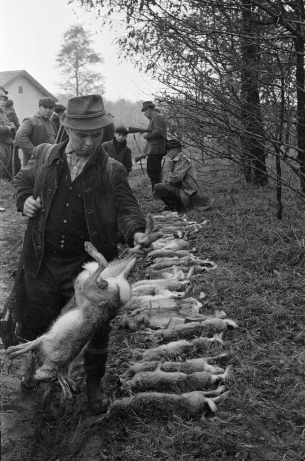 Hungary, Ócsa, a felvétel a Kohó- és Gépipari Minisztérium Szabadság Vadásztársaságának fácán- és nyúlvadászatán készült., 1965, Bojár Sándor, Fortepan #179282