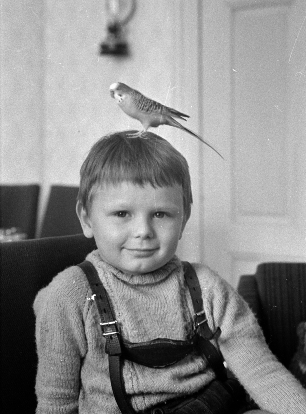 Németország, 1969, Bojár Sándor, NDK, papagáj, Fortepan #179539