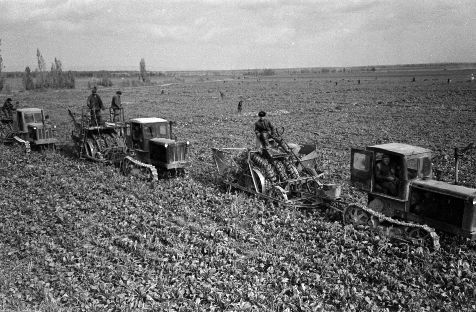 Kazahsztán, Aldabergenovo, (ekkor Subar), a felvétel a "SZKP XXII. pártkongresszusa" nevű kolhoz földjein készült., 1968, Bojár Sándor, Fortepan #179691