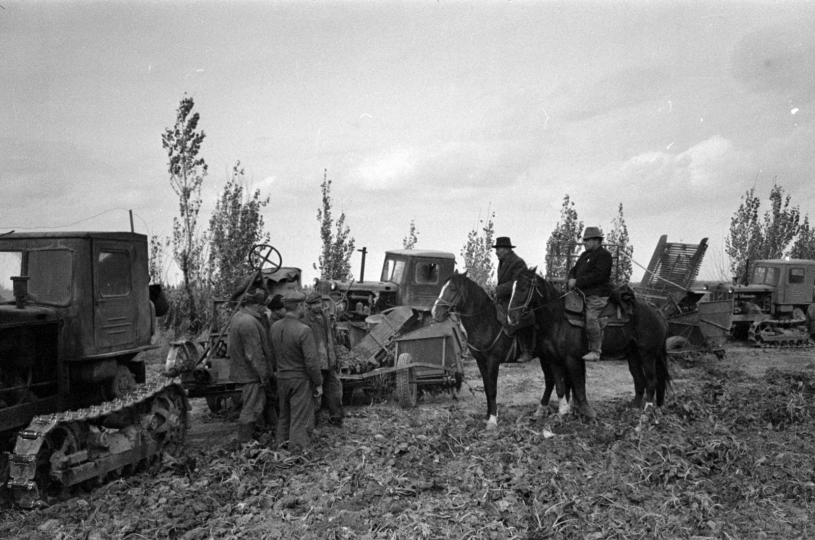 Alcsútdoboz, (ekkor Subar), a felvétel a "SZKP XXII. pártkongresszusa" nevű kolhoz földjein készült., 1968, Bojár Sándor, Fortepan #179692