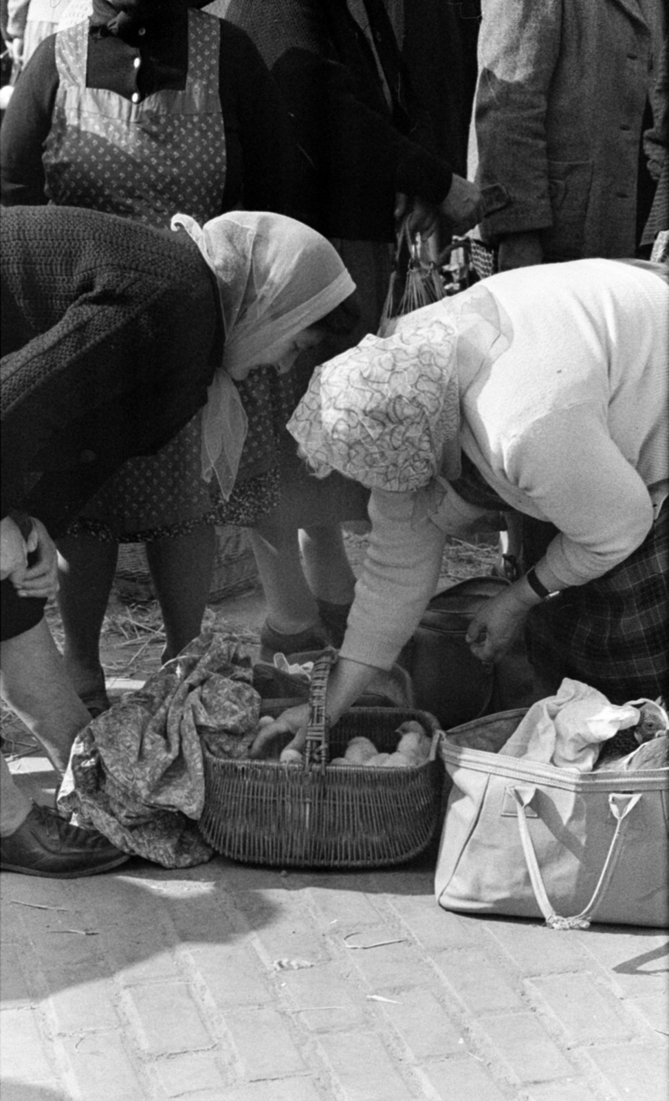 Hungary, Kecskemét, Budai utca, piac., 1968, Bojár Sándor, market, Fortepan #180031