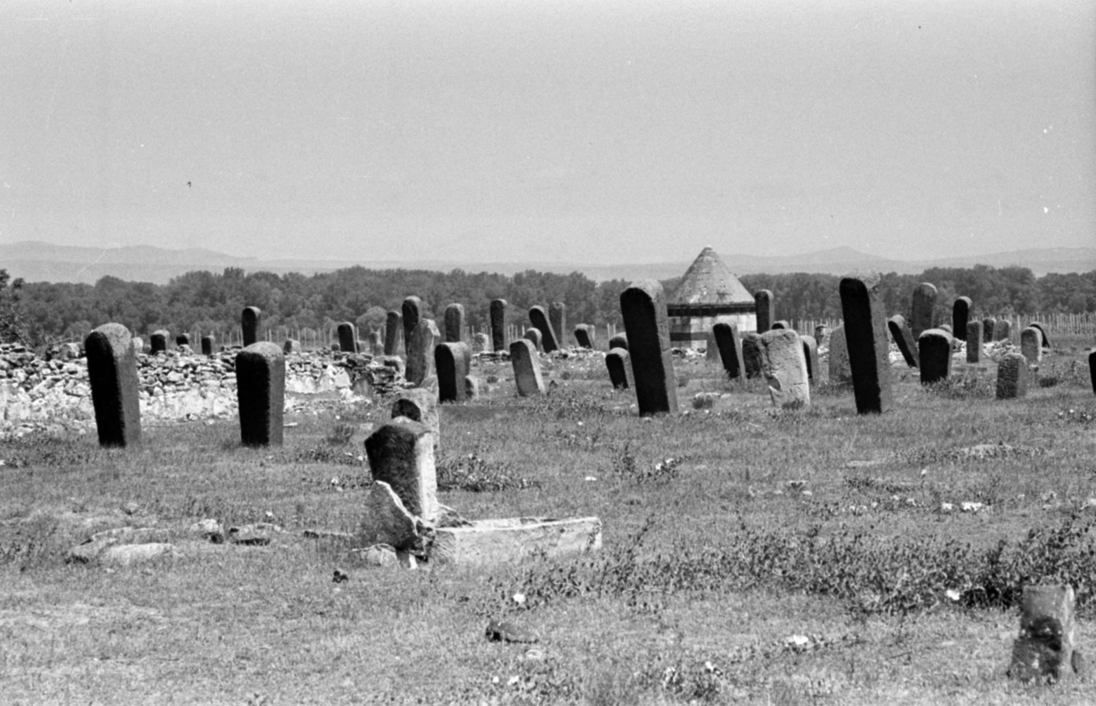 muszlim temető az M3-as főút mellett., 1967, Bojár Sándor, cemetery, Fortepan #180114