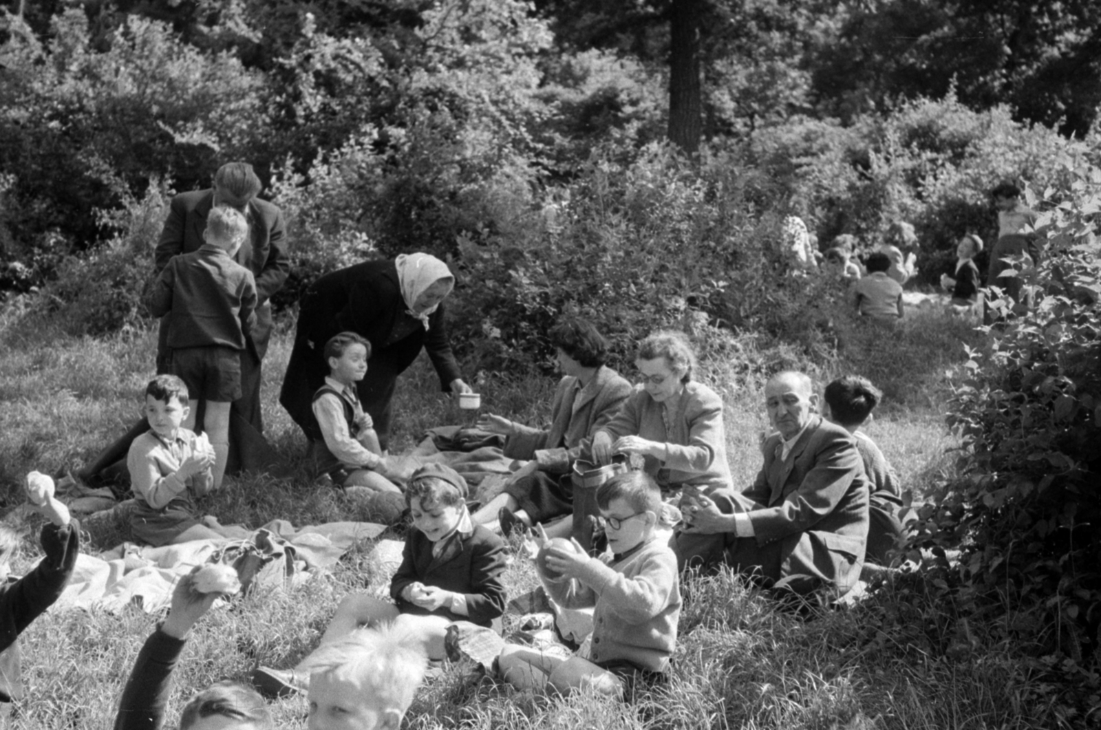 1955, Bojár Sándor, pihenés, kirándulás, étkezés, generációk, Fortepan #180577