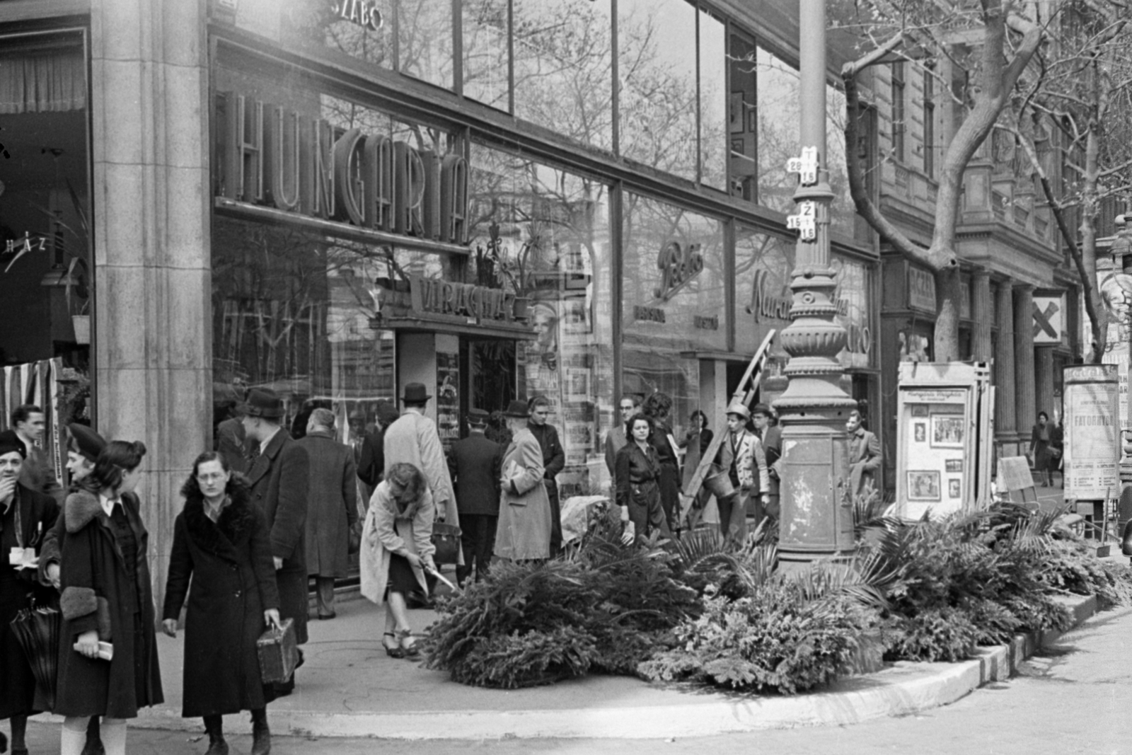 Hungary, Budapest V., Múzeum körút 11., Hungária Virágház., 1939, Bojár Sándor, christmas tree, Budapest, Fortepan #180615
