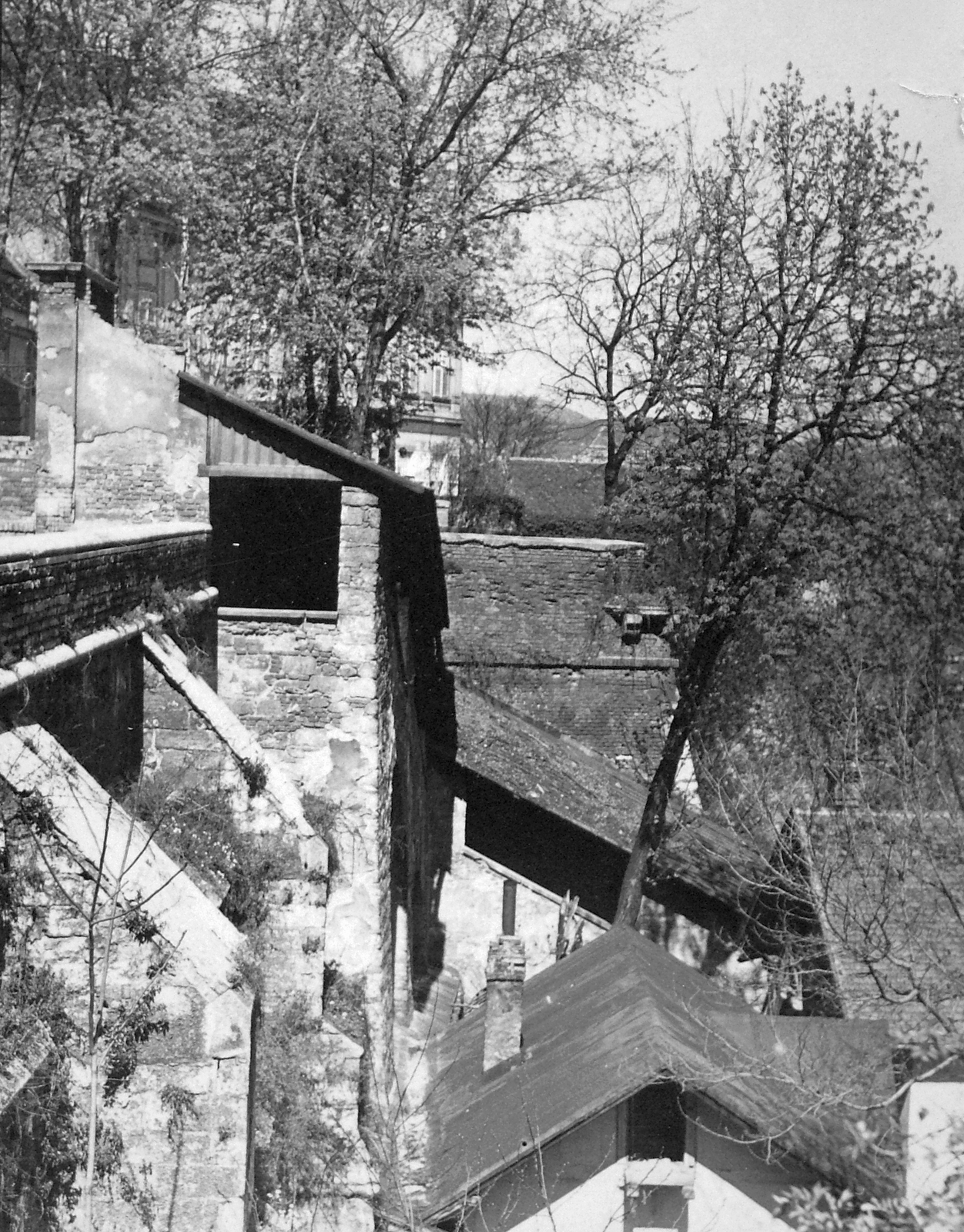 Hungary, Budapest I., Iskola lépcső, lejárat az Boldog XI. Ince pápa (Ibolya) utcától a Gimnázium utca felé., 1930, Saly Noémi, Budapest, stairs, Fortepan #18281