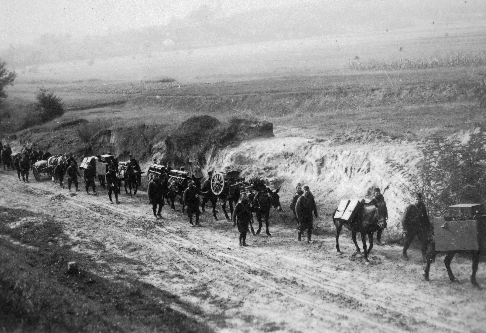 15/31M 75 mm-es Skoda hegyiágyú kezelőivel menetben., 1942, Saly Noémi, horse, Skoda-brand, second World War, cannon, soldier, carrying loads, mule, Fortepan #18284