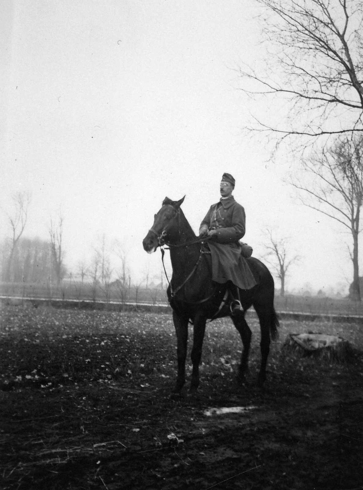 1942, Saly Noémi, horse, rider, Fortepan #18289