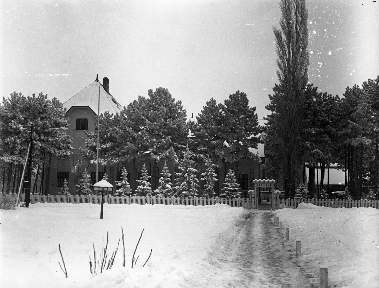 Hungary,Lake Balaton, Siófok, Kaáli Nagy Dezső villa (később SZOT Csepel üdülő)., 1930, Magyar Műszaki és Közlekedési Múzeum / BAHART Archívum, Lake Balaton, snow, pine, Fortepan #183319