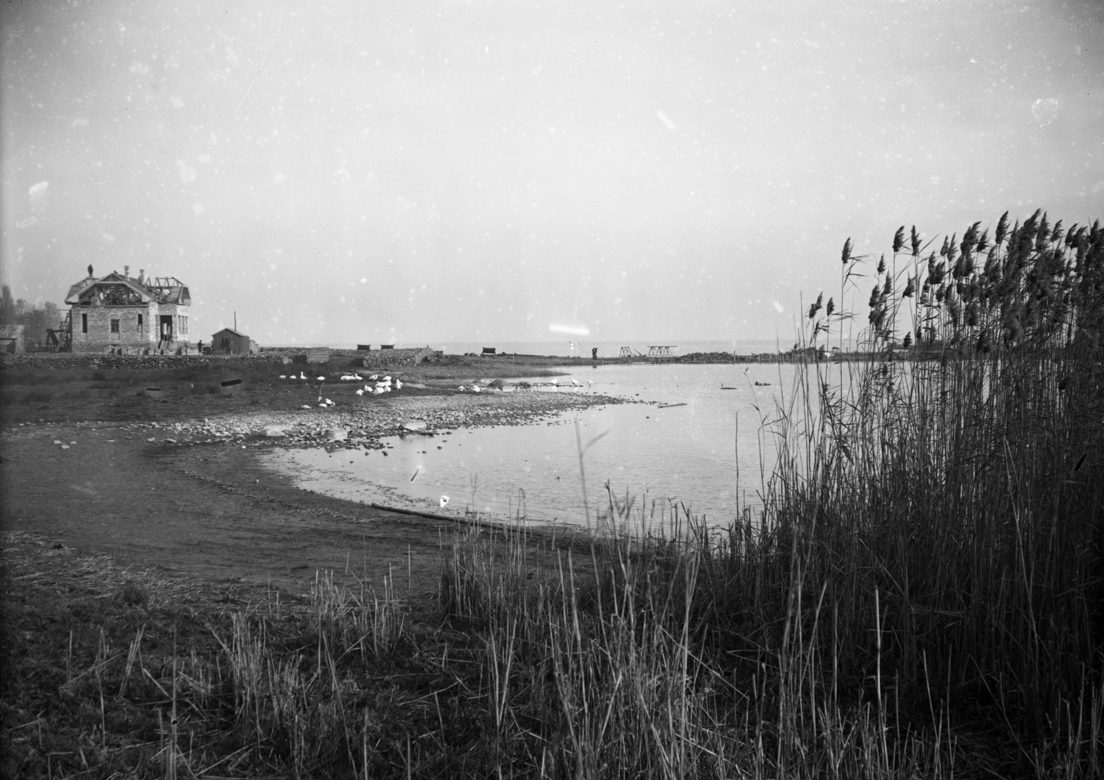 Hungary, Alsóörs, a kikötői őrházk építése, A felvétel 1927-1930 között készült. Leltári jelzet: MMKM TEMGY 2019.1.1. 0775, 1930, Magyar Műszaki és Közlekedési Múzeum / BAHART Archívum, shore, poultry, Fortepan #183533