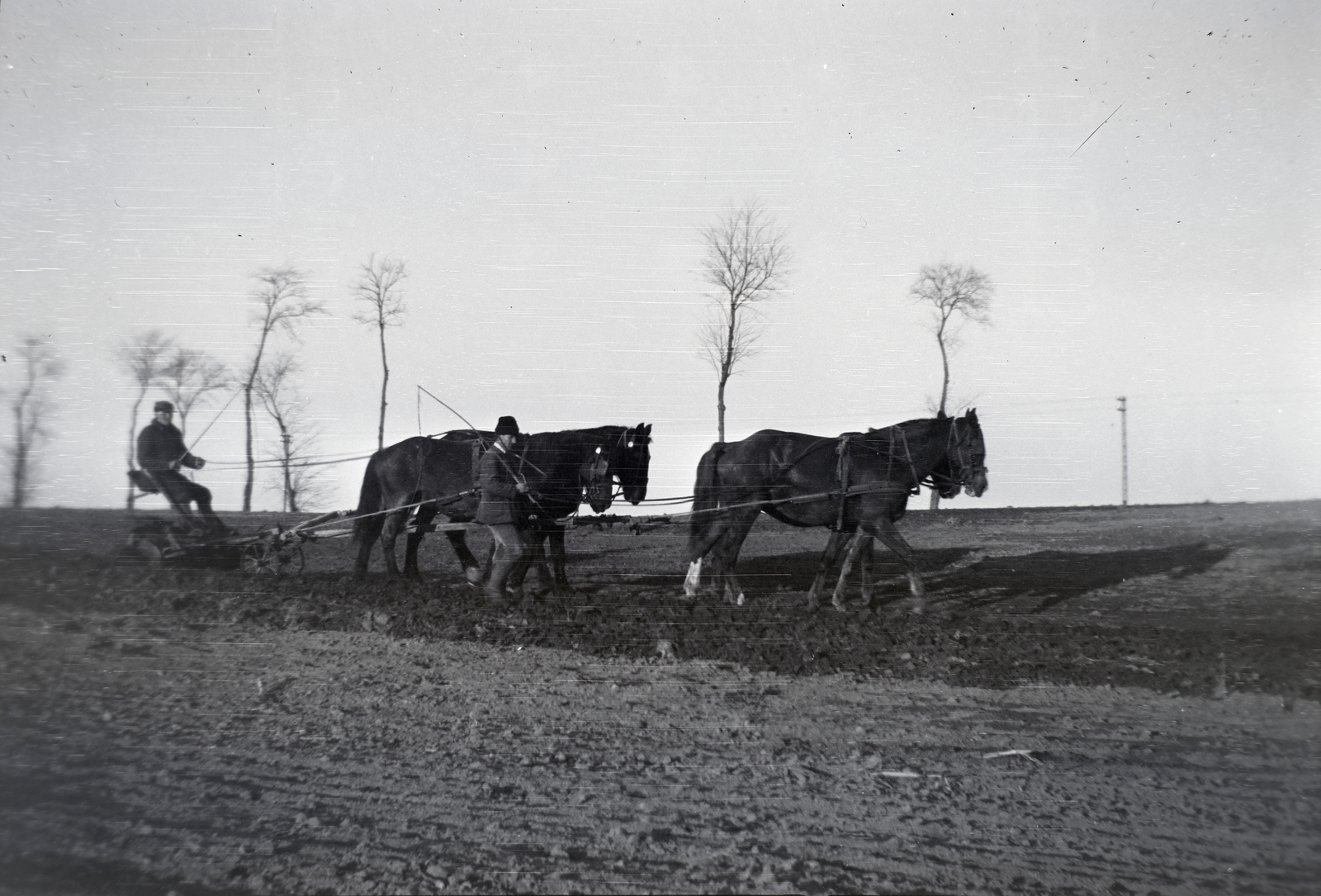 1936, Breuer Pál, Fortepan #183652
