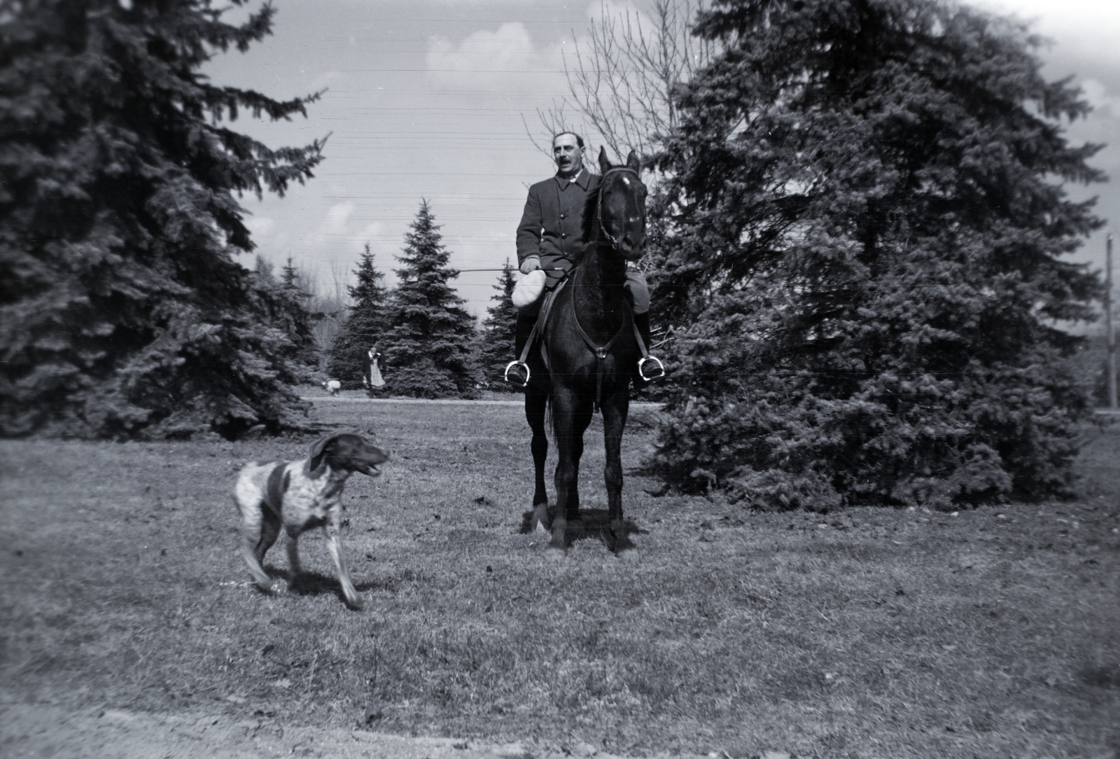 1936, Breuer Pál, dog, horse, Fortepan #183661