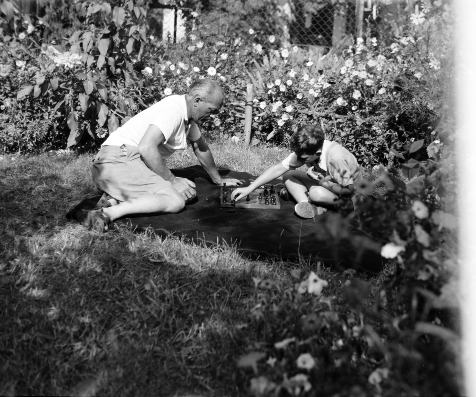 1959, Divéky István, flower bed, chess, plaid, Fortepan #183729