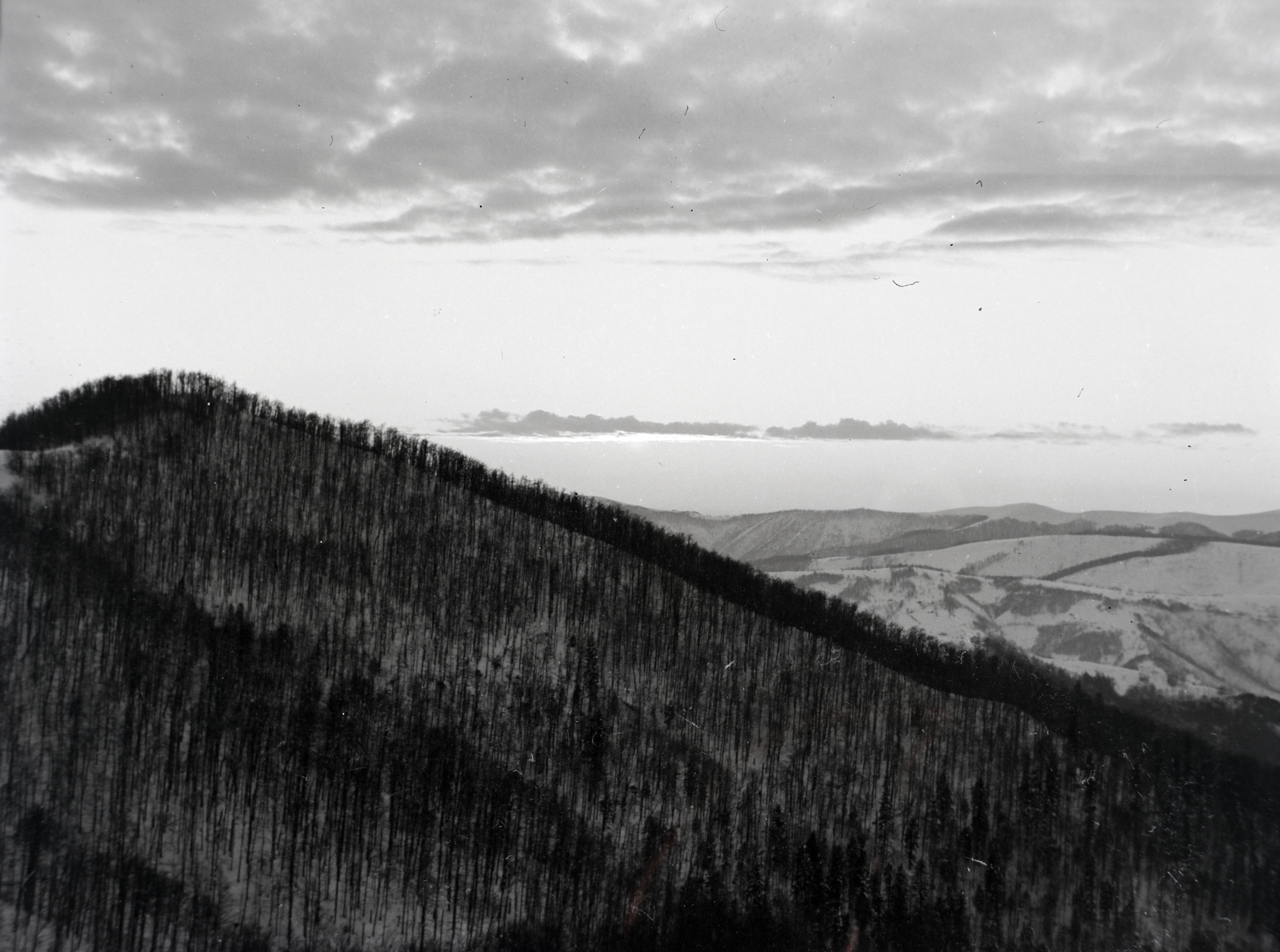 1939, Divéky István, clouds, woods, hillside, Fortepan #183788