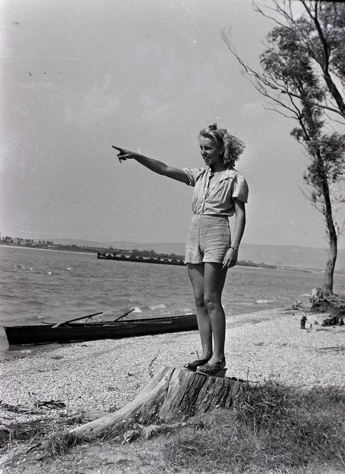 Hungary, Esztergom, Duna-part a város felett a város közelében., 1942, Divéky István, girl, tree stump, point a finger, Fortepan #183836