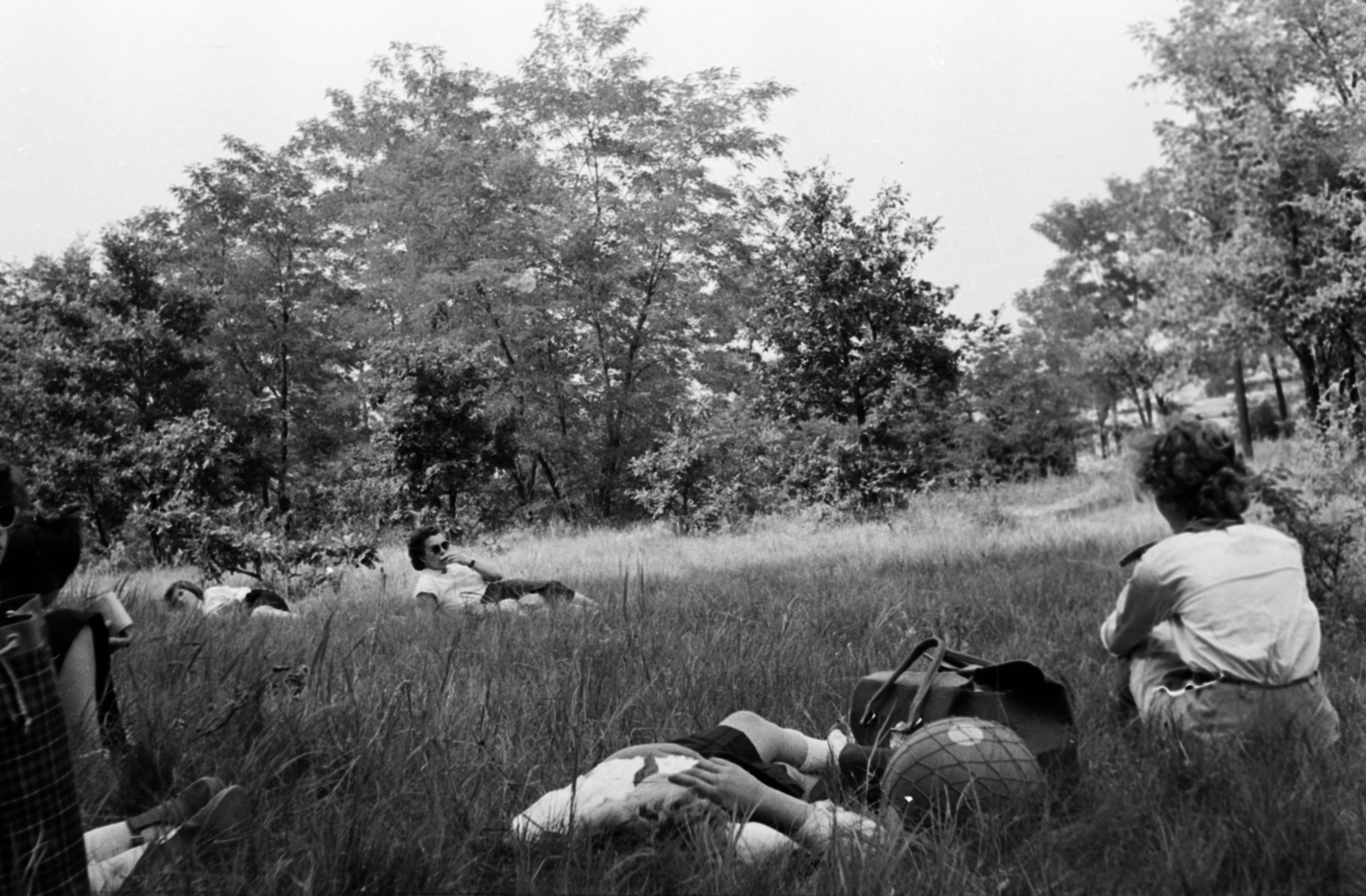 1962, Dömölky Etelka, Fortepan #183886