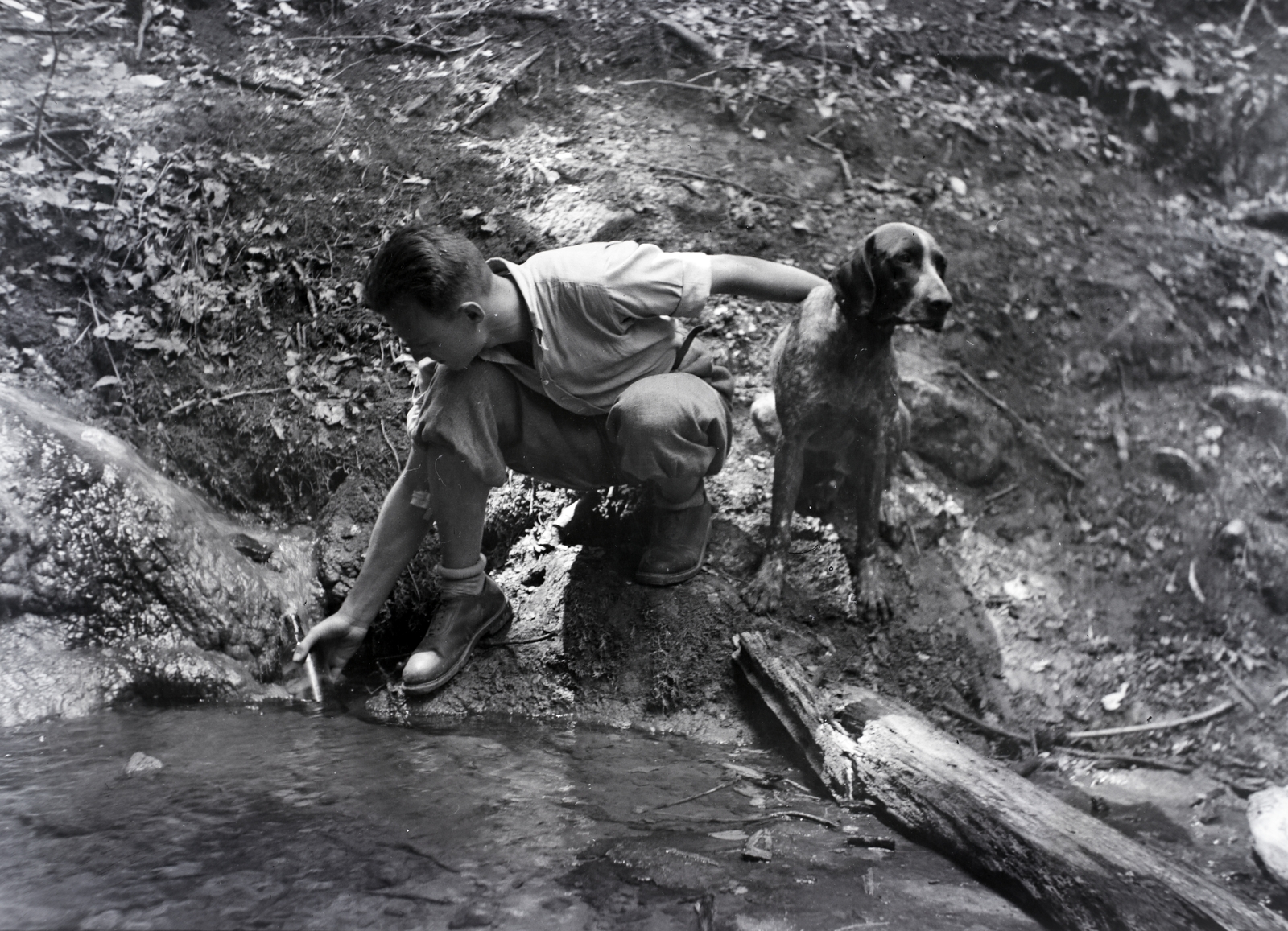 1936, Ferencz Zoltán Zénó, dog, Fortepan #184022