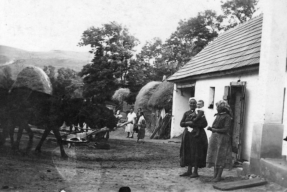 1930, László János, falu, ló, udvar, csoportkép, életkép, népviselet, szárazmalom, szérűs kert, Fortepan #18451