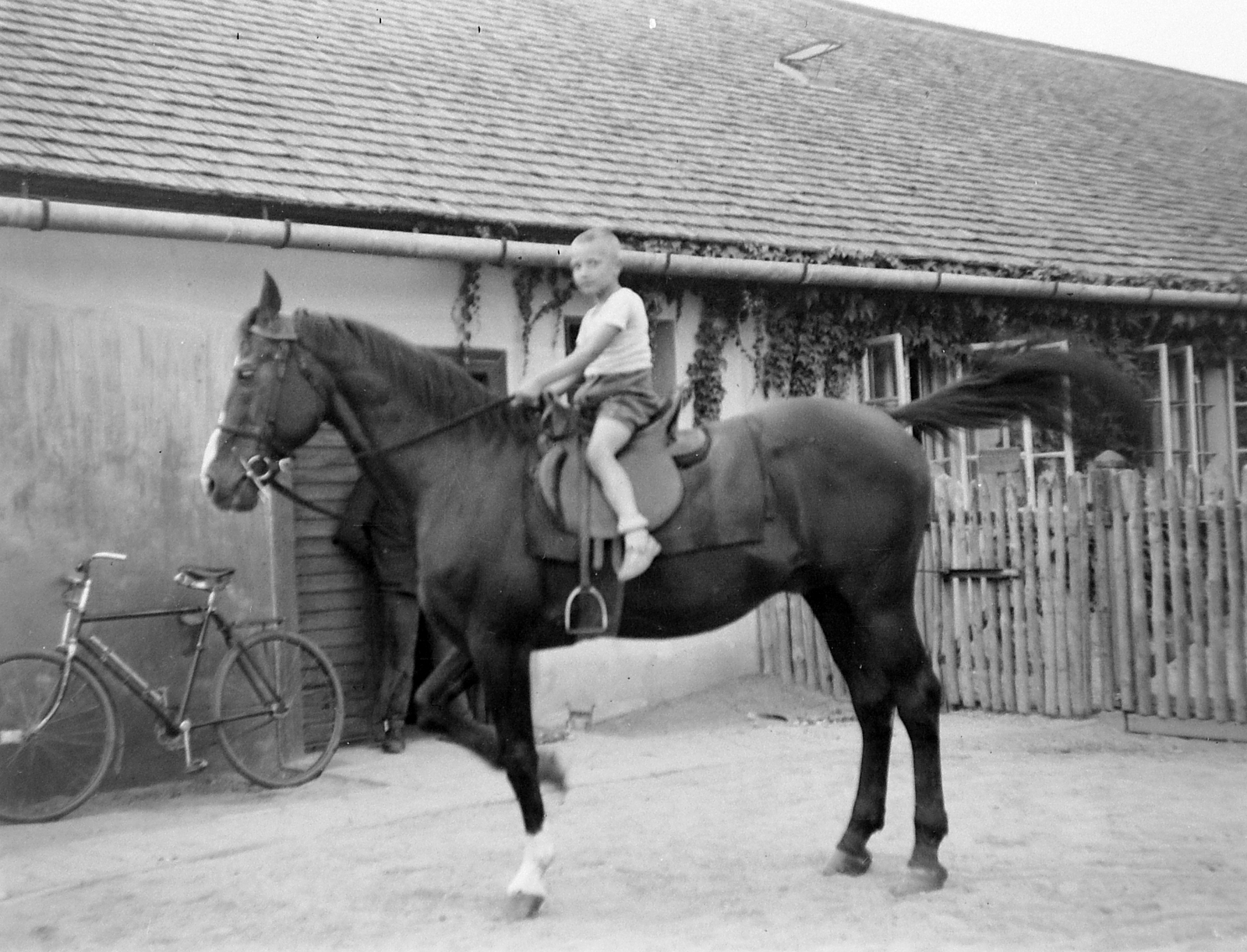 1930, Fortepan, portrait, bicycle, horse, yard, boy, rider, Fortepan #1847