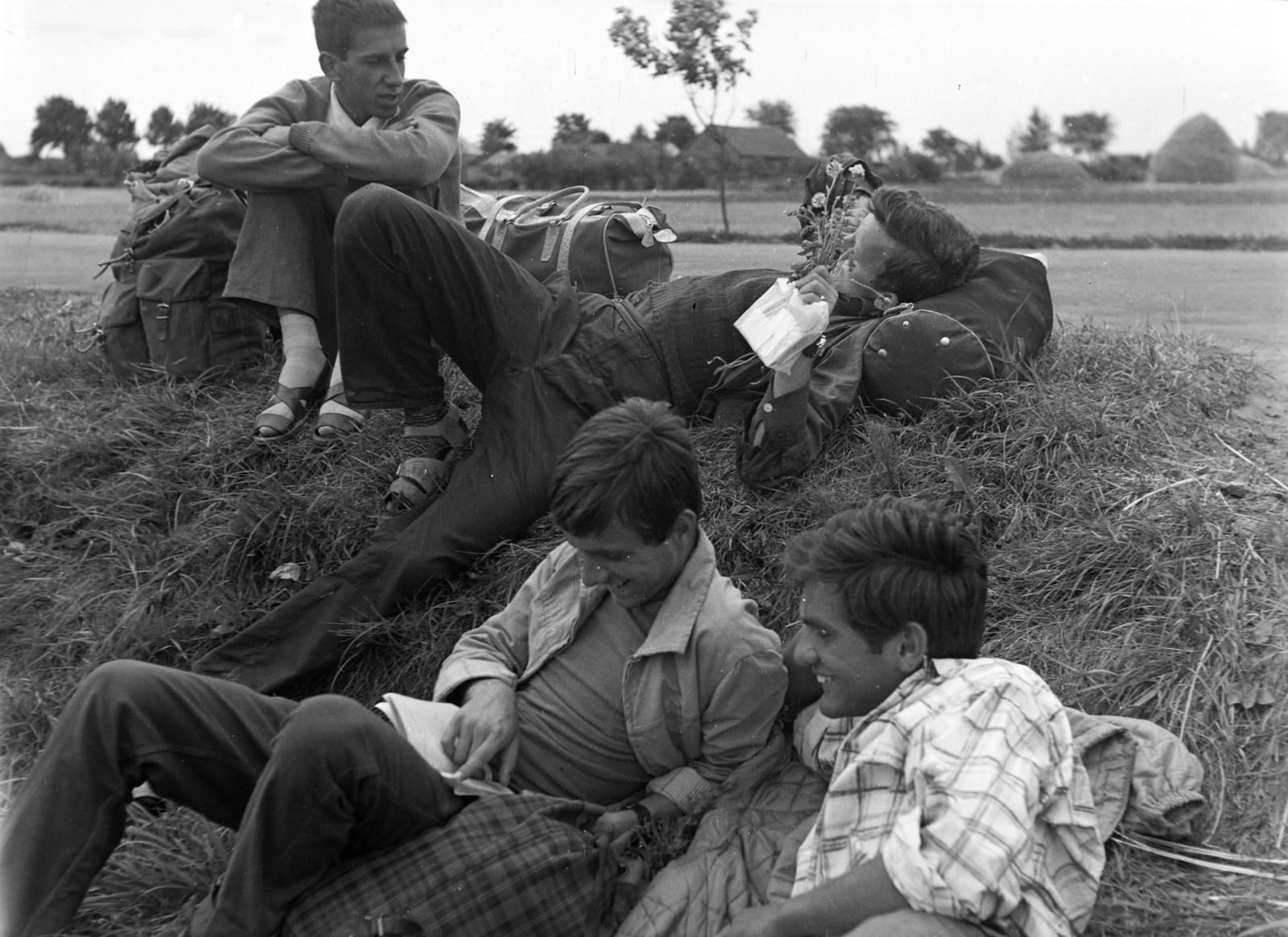 Lengyelország, a felvétel a Varsó-Gdansk közötti főközlekedési út mentén készült., 1963, Inkei Péter, Fortepan #184733