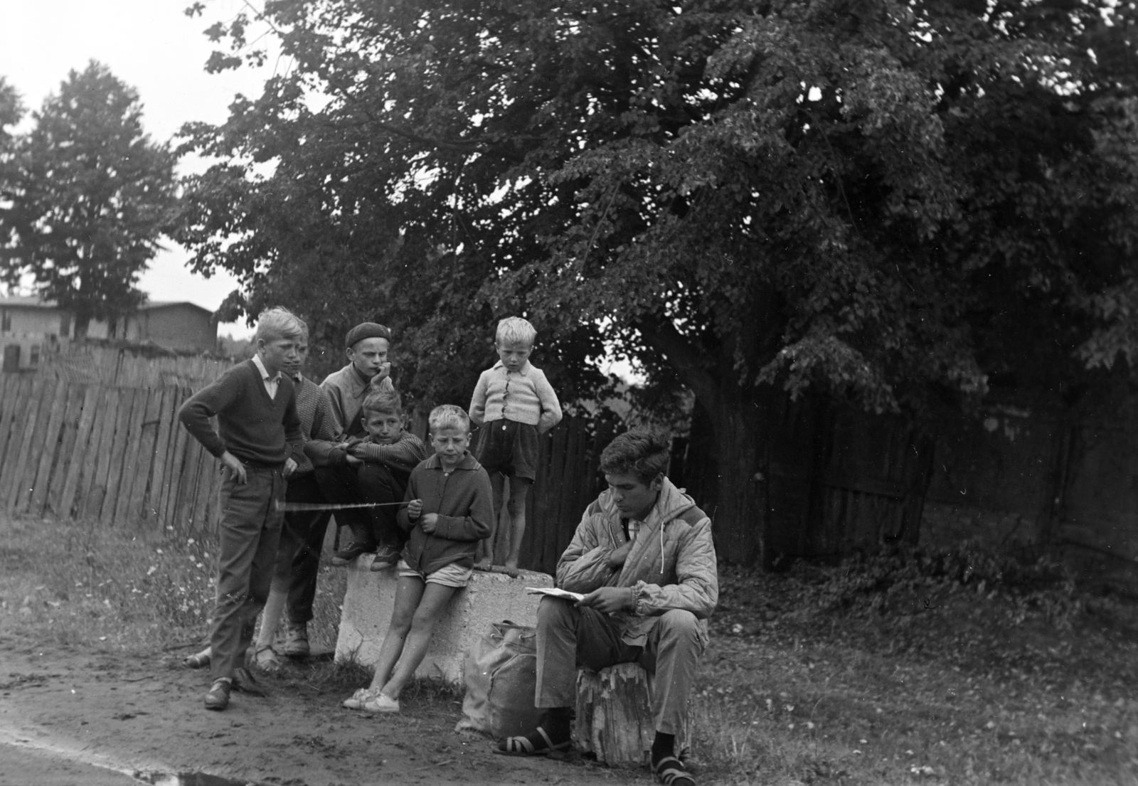 Lengyelország, a felvétel a Varsó-Gdansk közötti főközlekedési út mentén készült., 1963, Inkei Péter, Fortepan #184736
