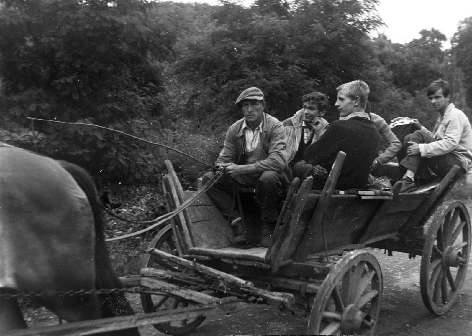 Lengyelország, a felvétel a Varsó-Gdansk közötti főközlekedési út mentén készült., 1963, Inkei Péter, Fortepan #184737