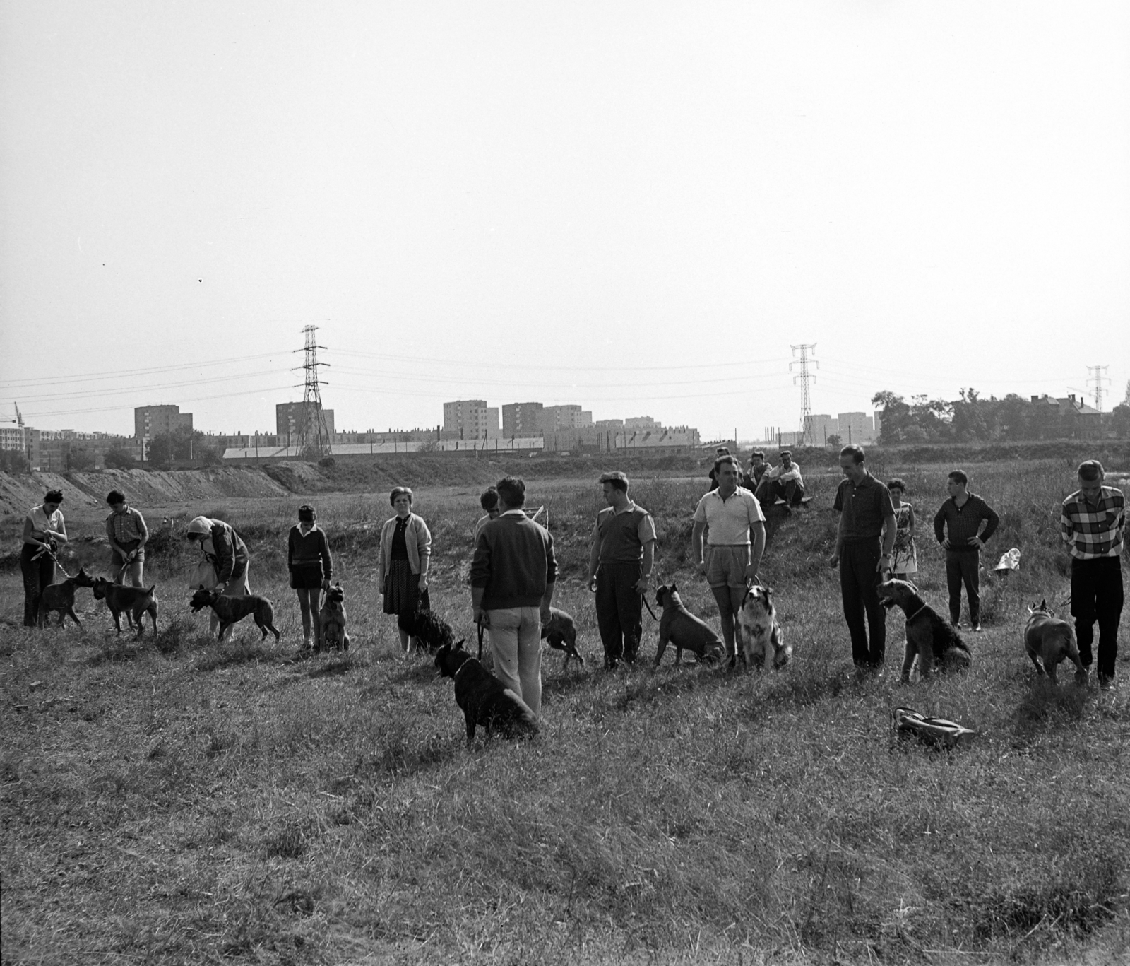 Hungary, Budapest IX., Gyáli út - Ecseri út - Üllői út - vasút közötti terület, kutyaoktatás, háttérben a József Attila lakótelep házai., 1962, Inkey Tibor, dog, Budapest, Fortepan #184866