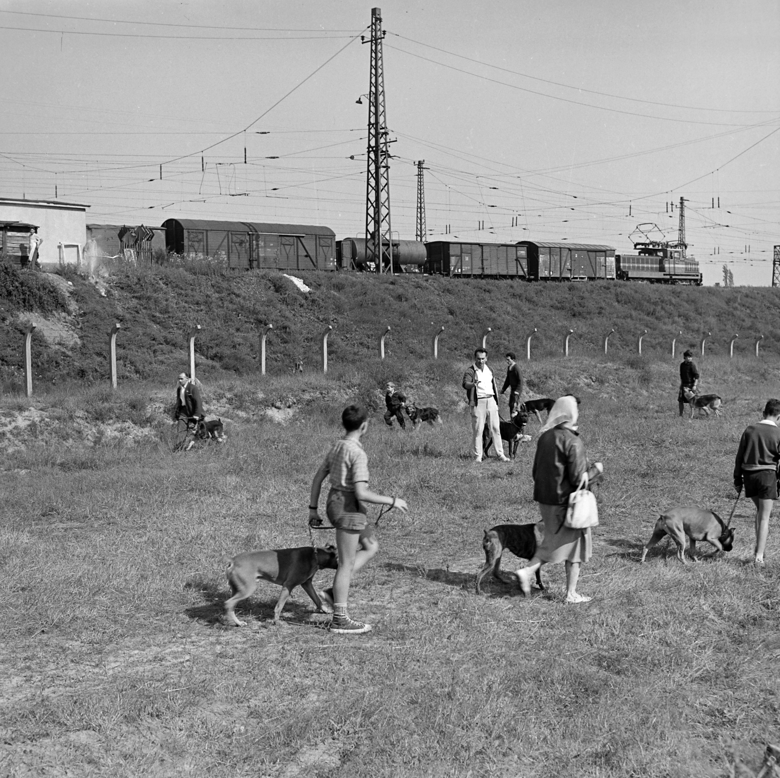 Hungary, Budapest IX., Gyáli út - Ecseri út - Üllői út - vasút közötti terület, kutyaoktatás., 1962, Inkey Tibor, dog, Budapest, Fortepan #184870